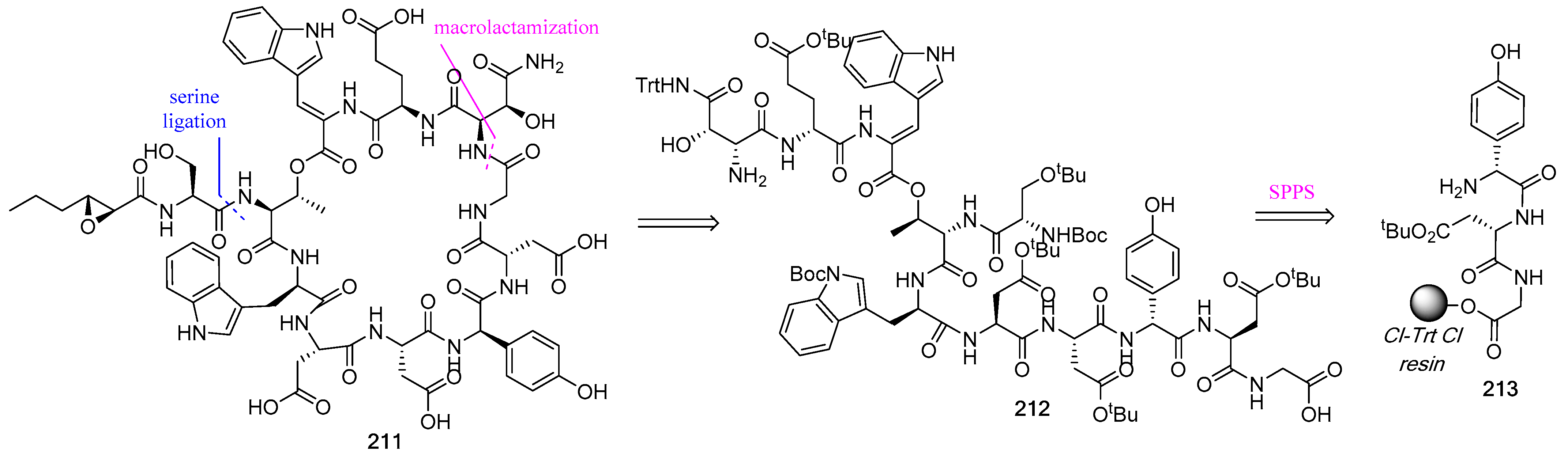 Biomedicines 13 00240 g056
