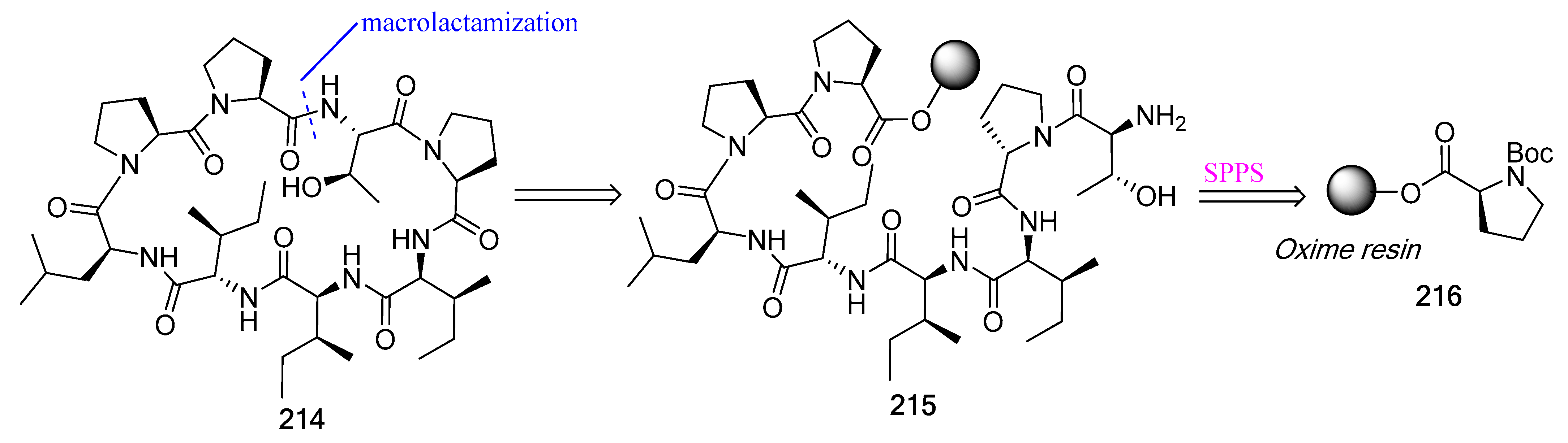 Biomedicines 13 00240 g057