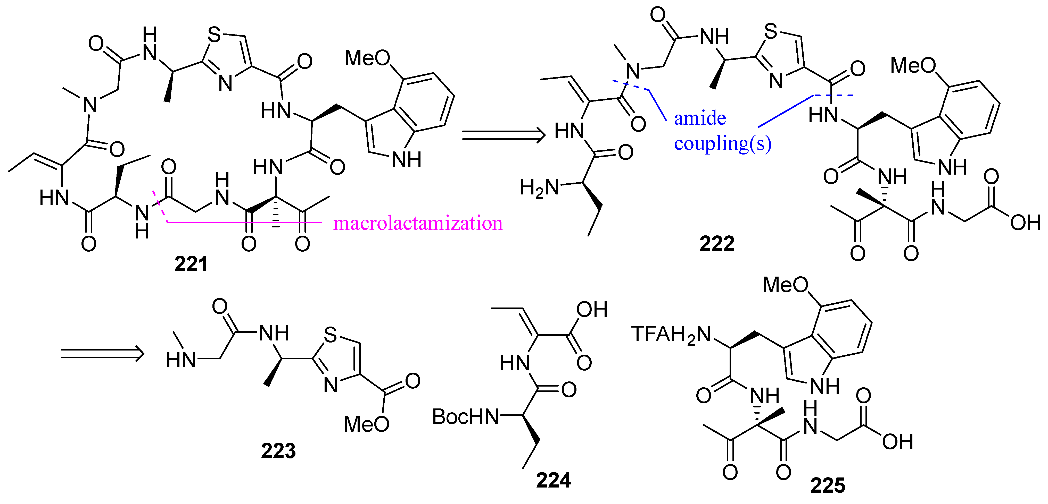 Biomedicines 13 00240 g059
