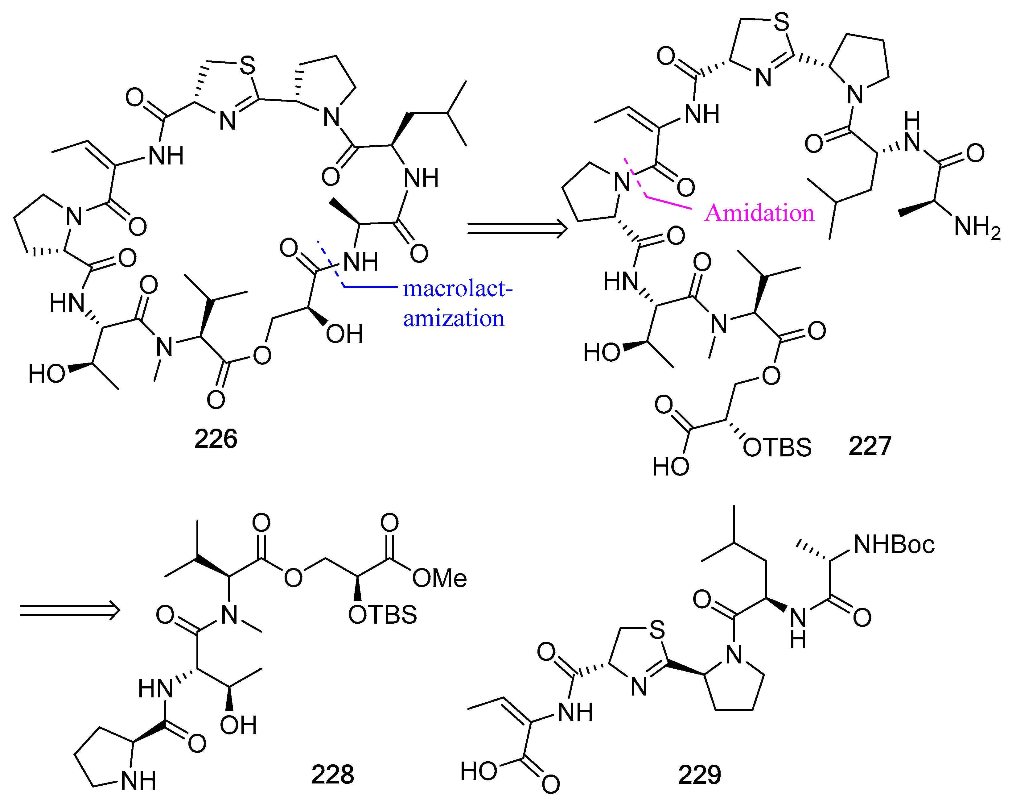 Biomedicines 13 00240 g060