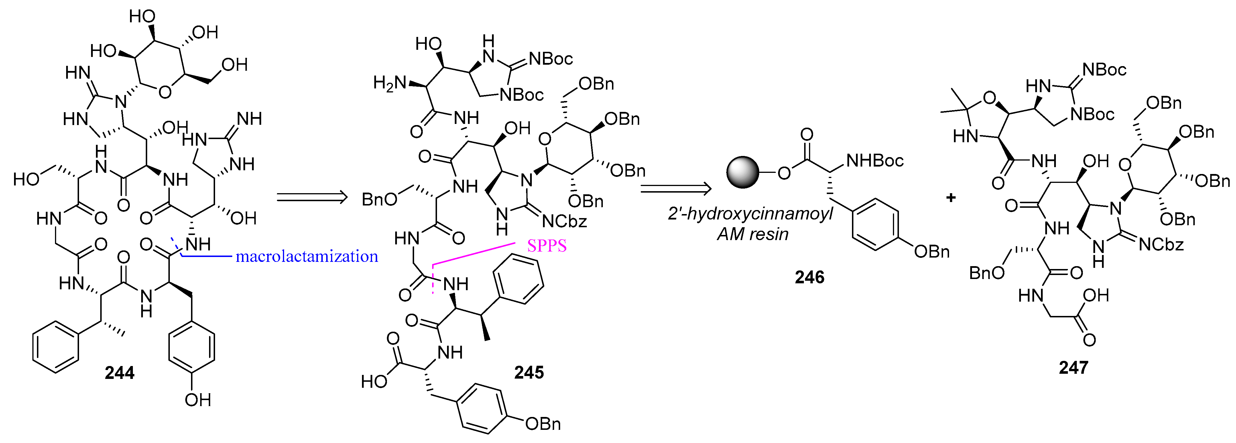 Biomedicines 13 00240 g065