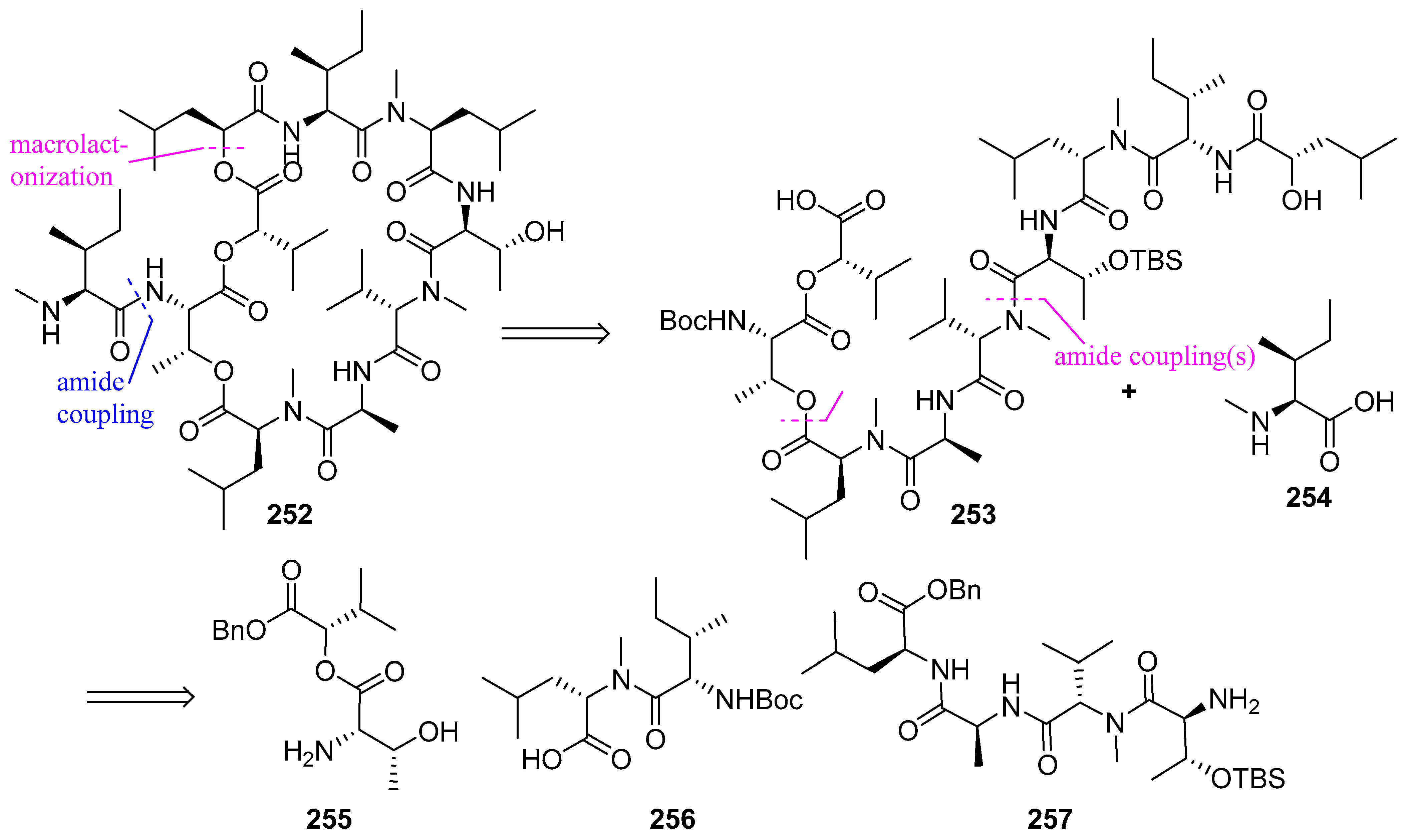 Biomedicines 13 00240 g067