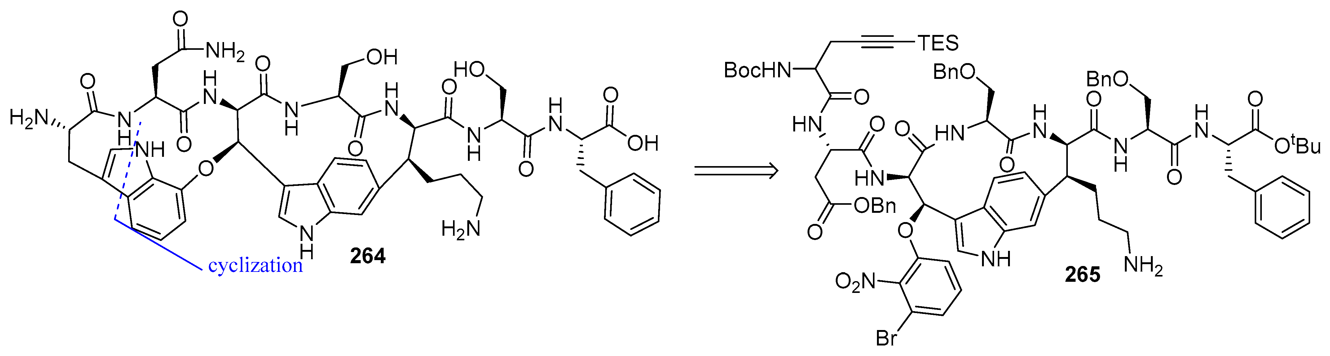Biomedicines 13 00240 g070