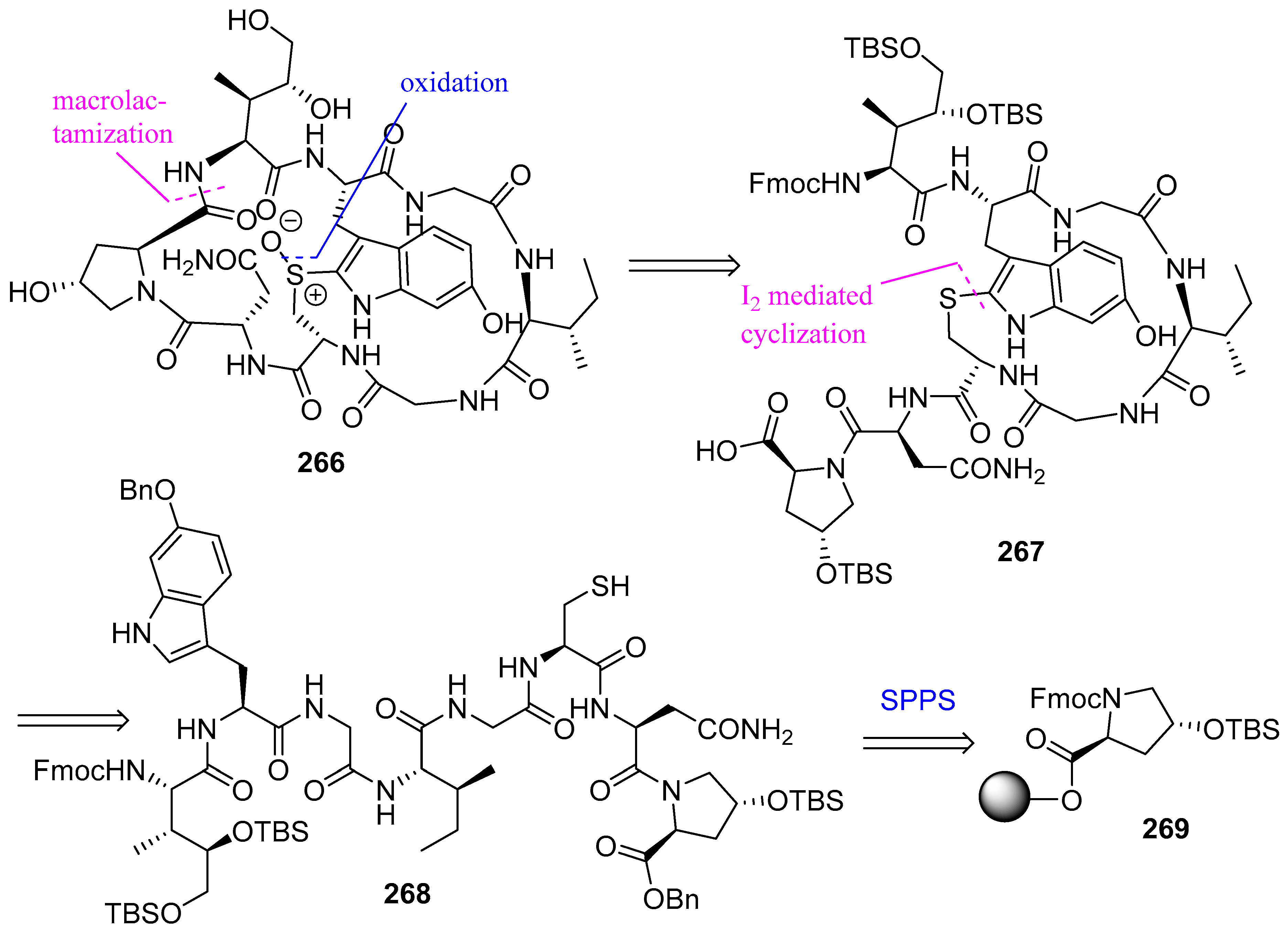 Biomedicines 13 00240 g071
