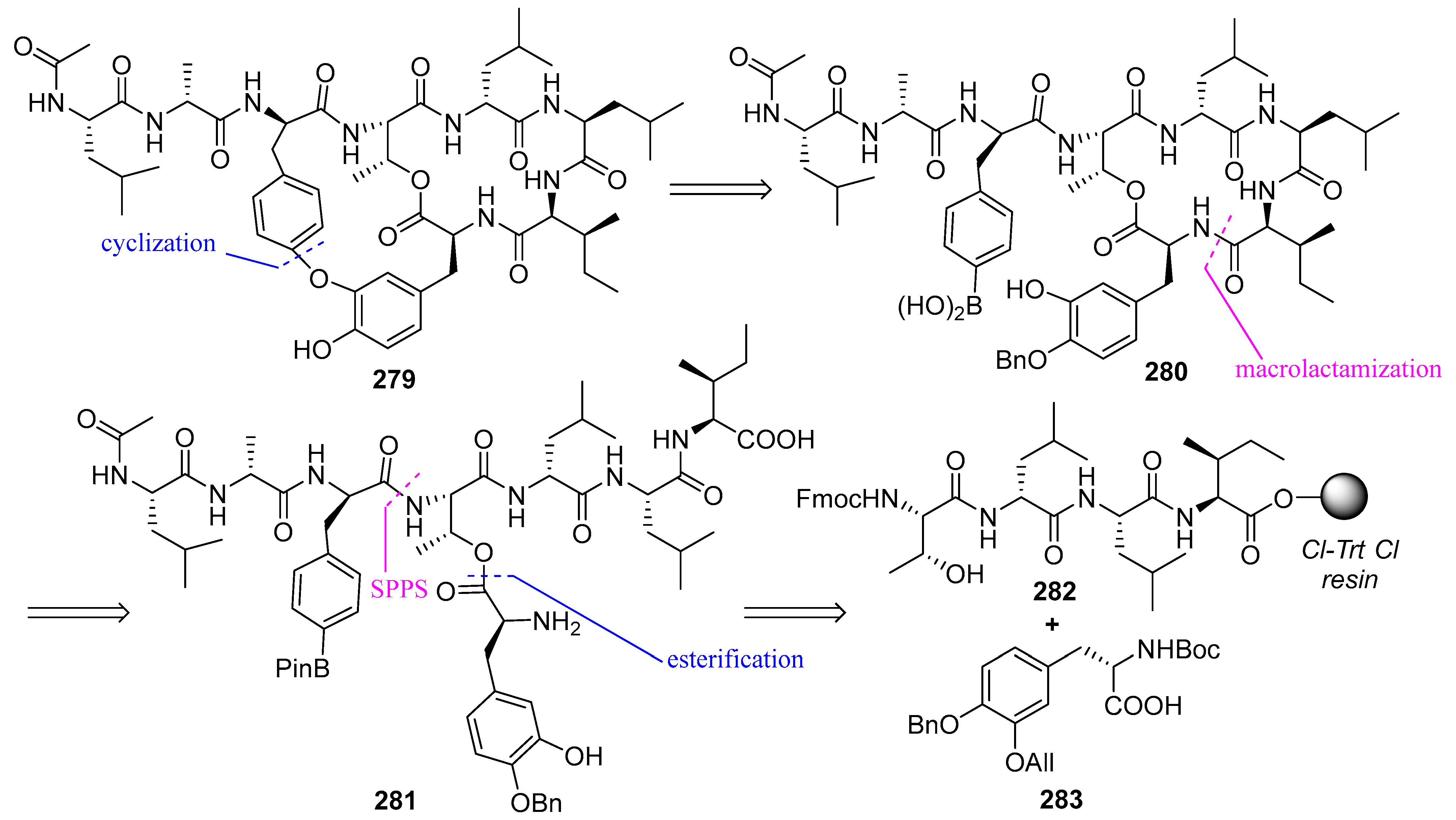 Biomedicines 13 00240 g074