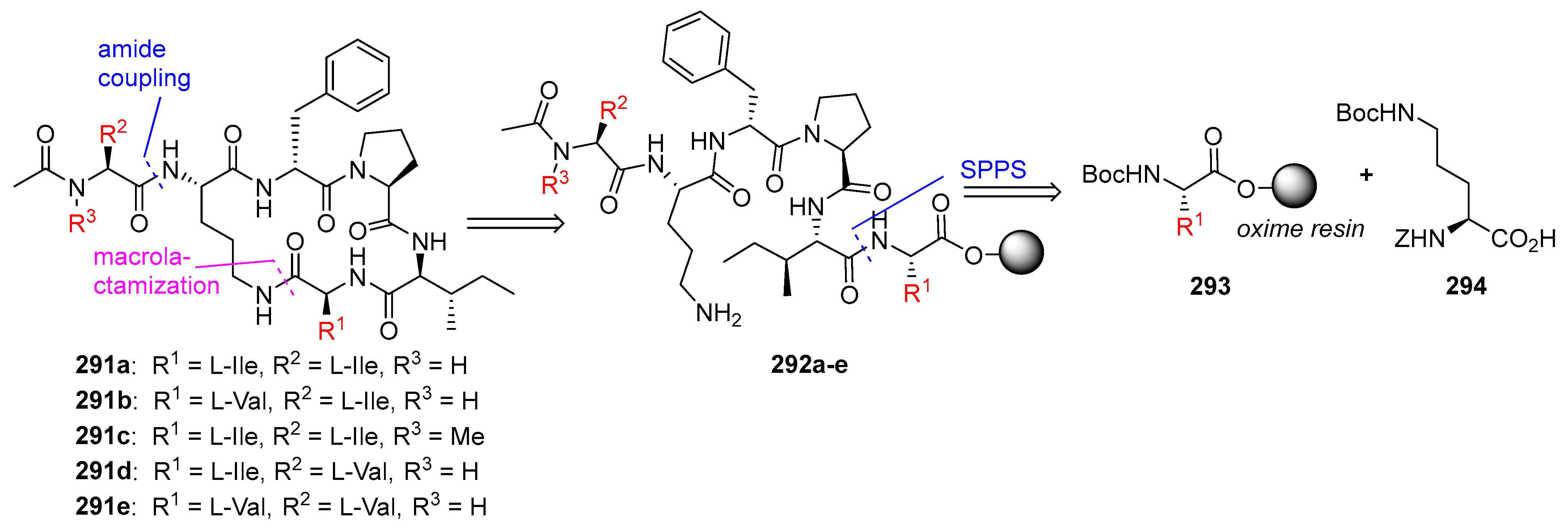 Biomedicines 13 00240 g077