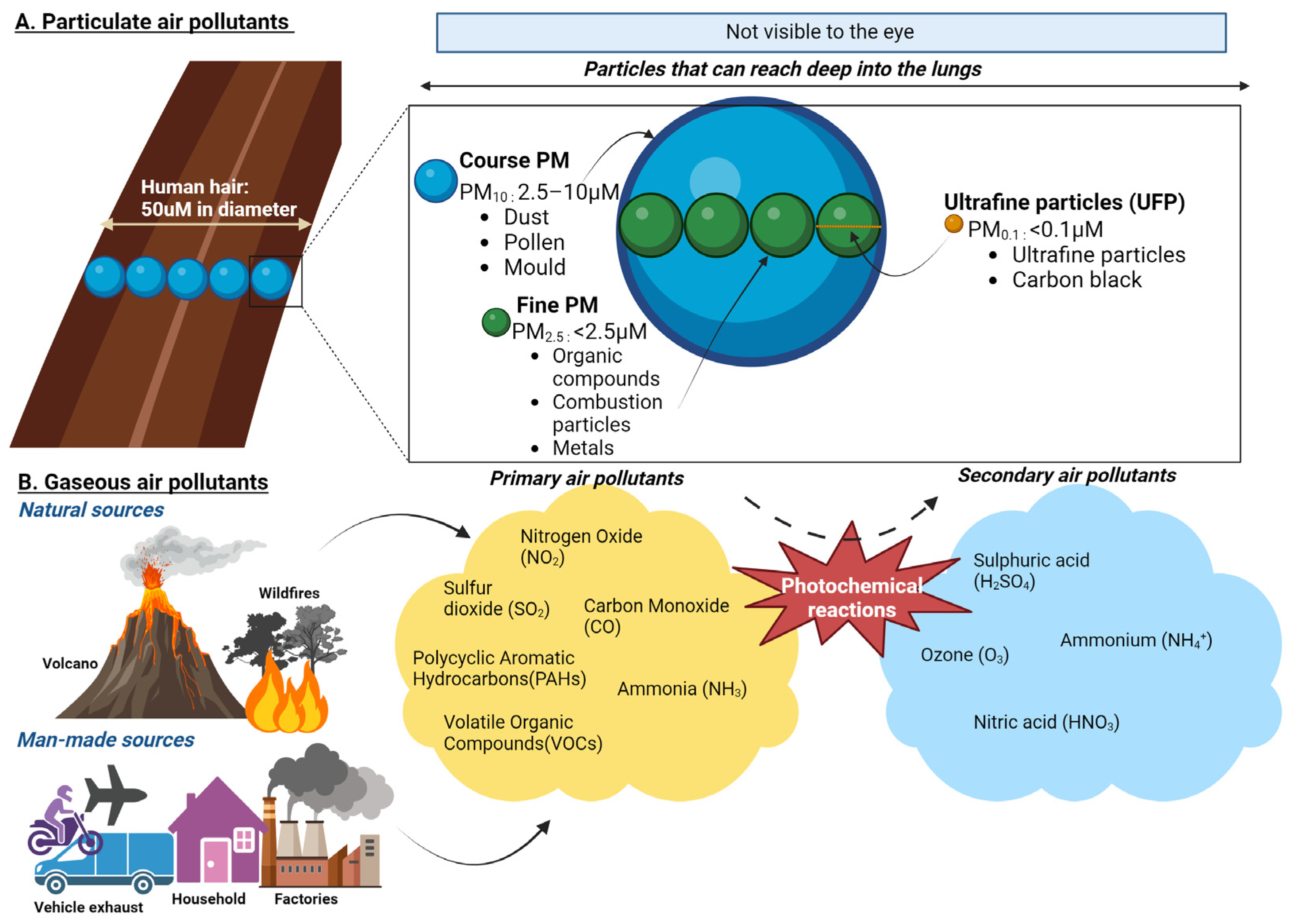 Biomedicines 13 00246 g002