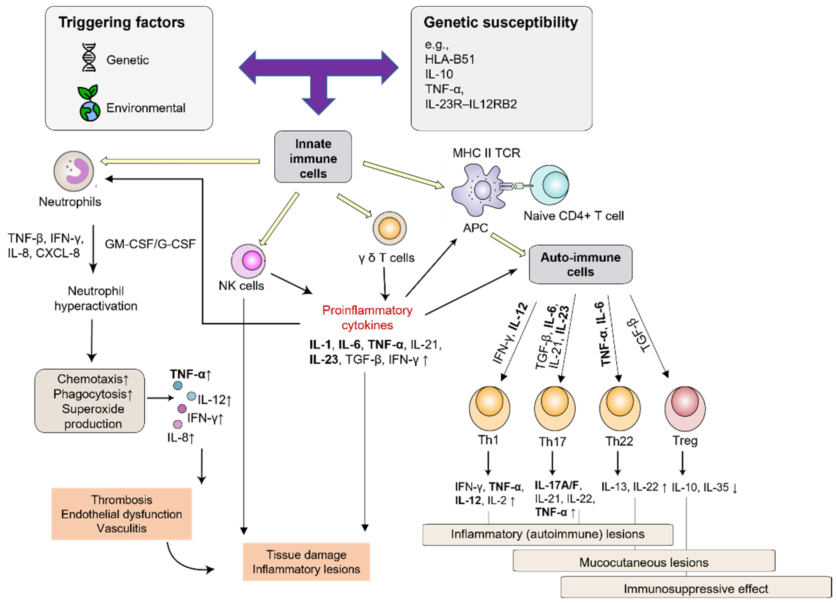 Biomedicines 13 00247 g001