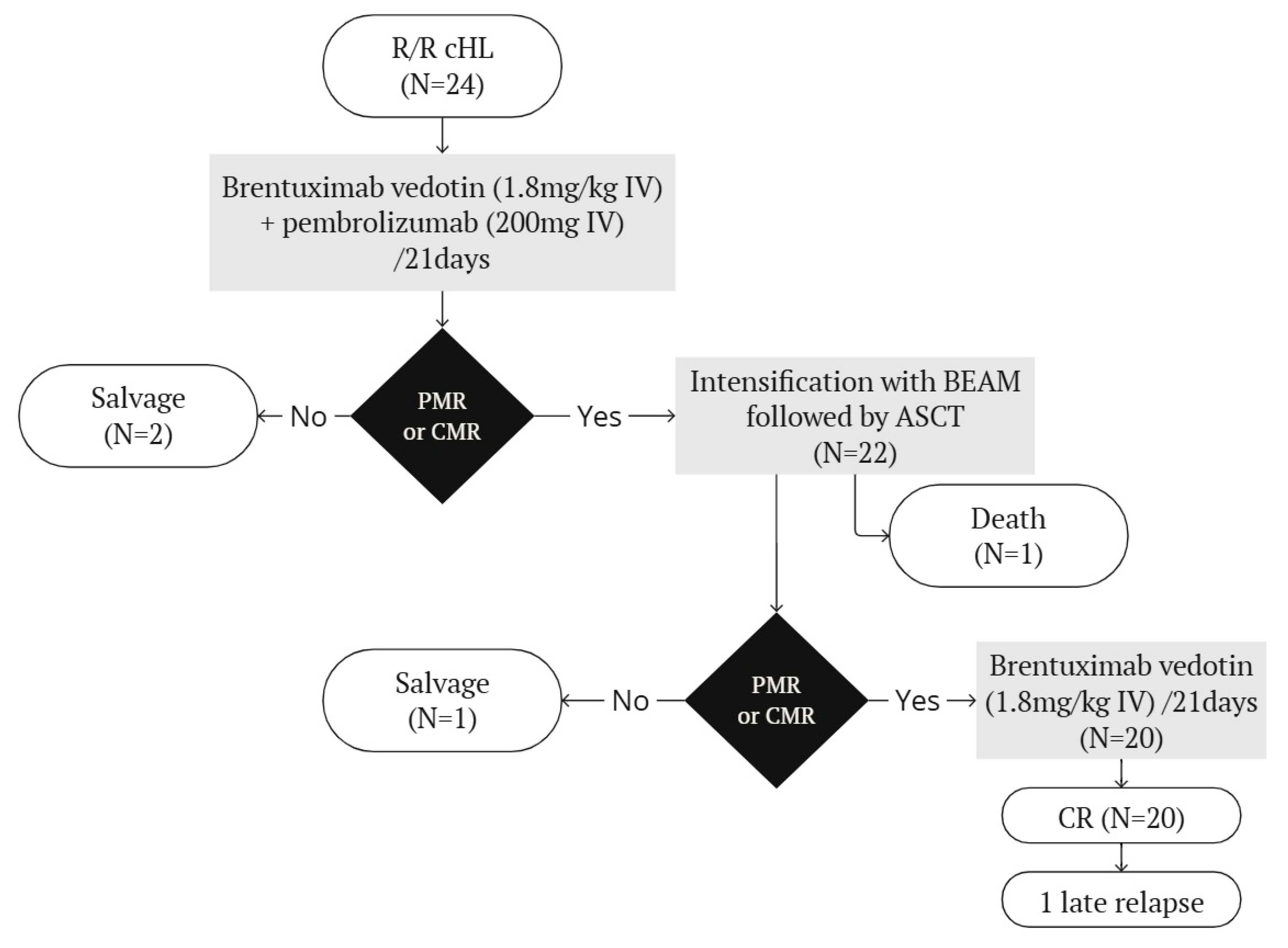 Biomedicines 13 00252 g001