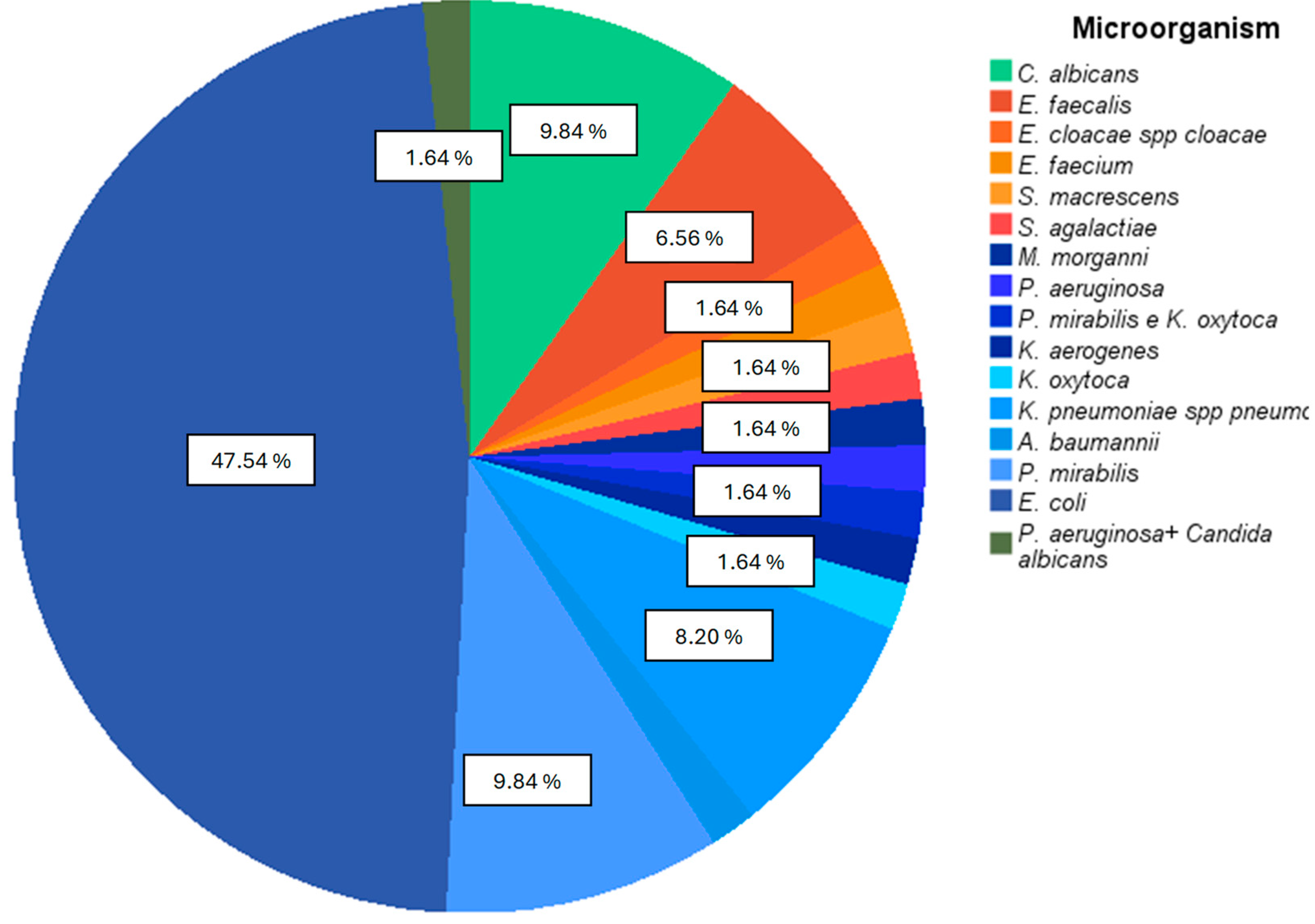 Biomedicines 13 00253 g002