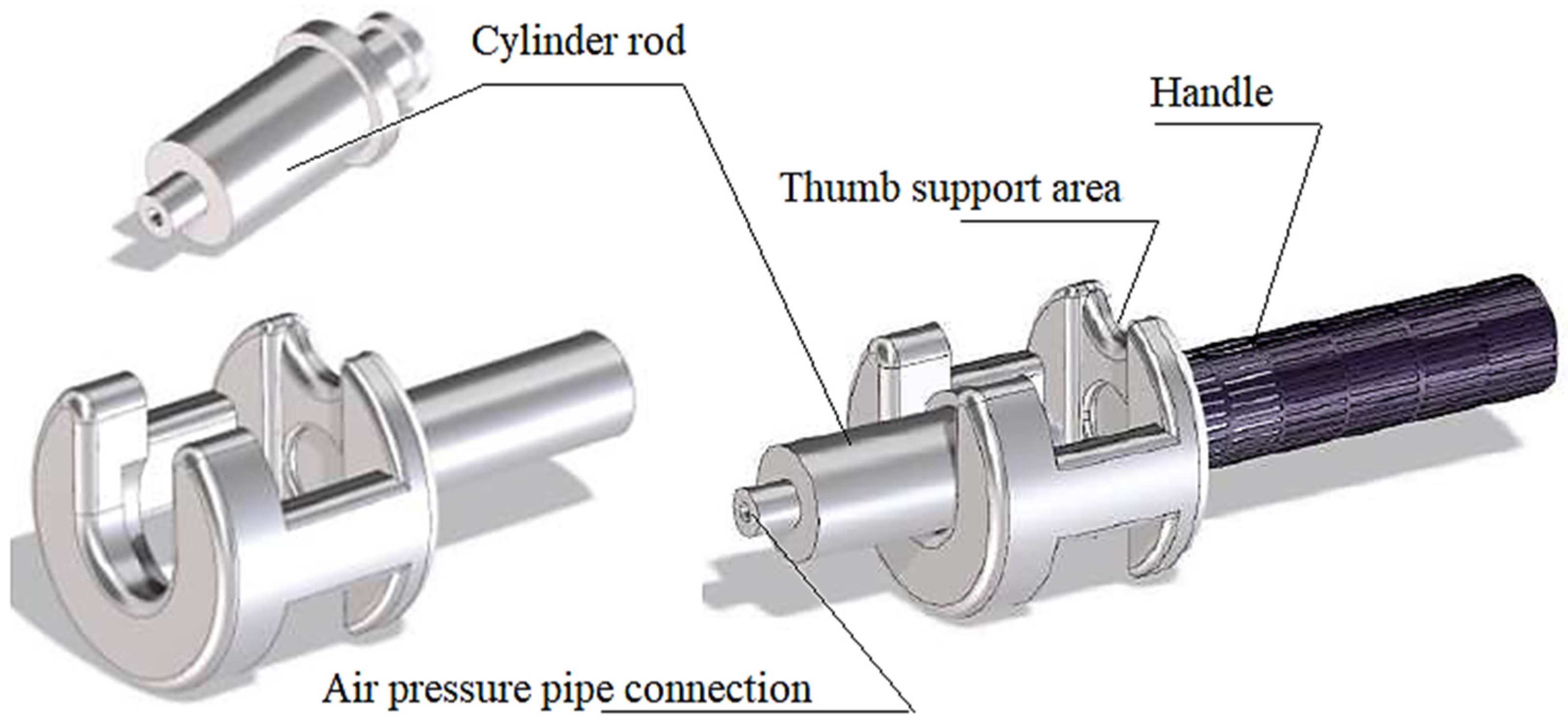 Biomedicines 13 00254 g002
