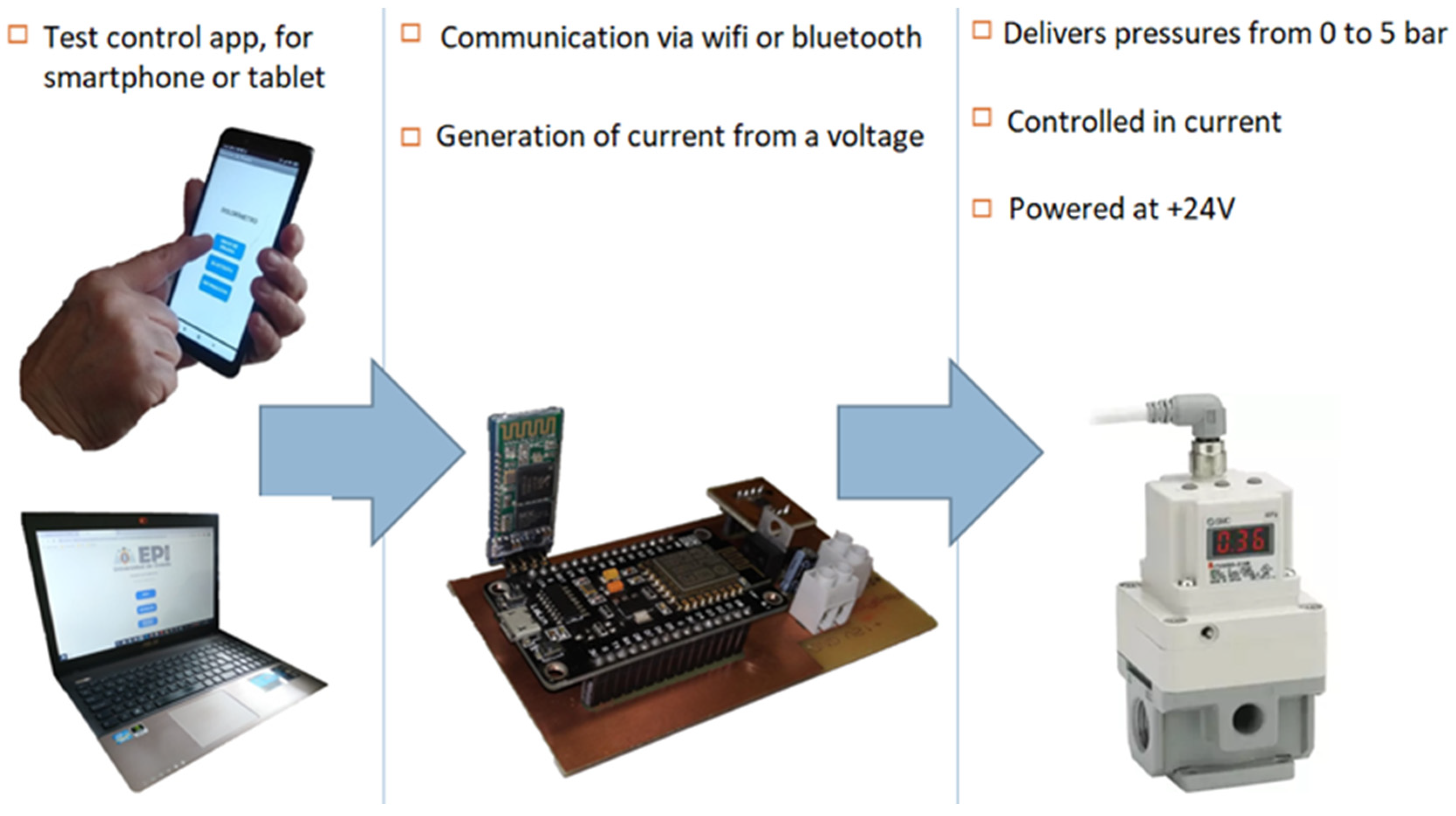Biomedicines 13 00254 g013
