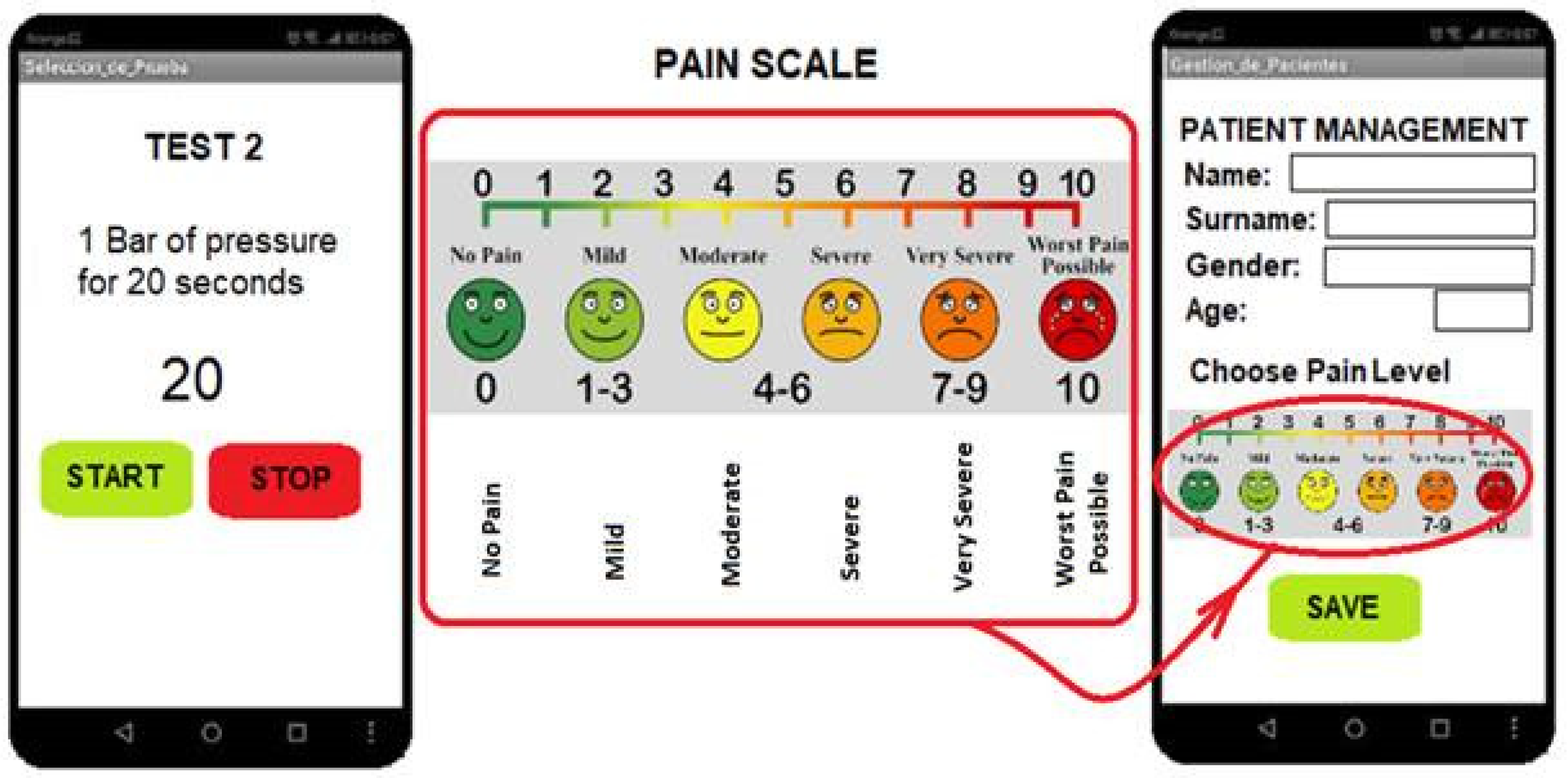 Biomedicines 13 00254 g014