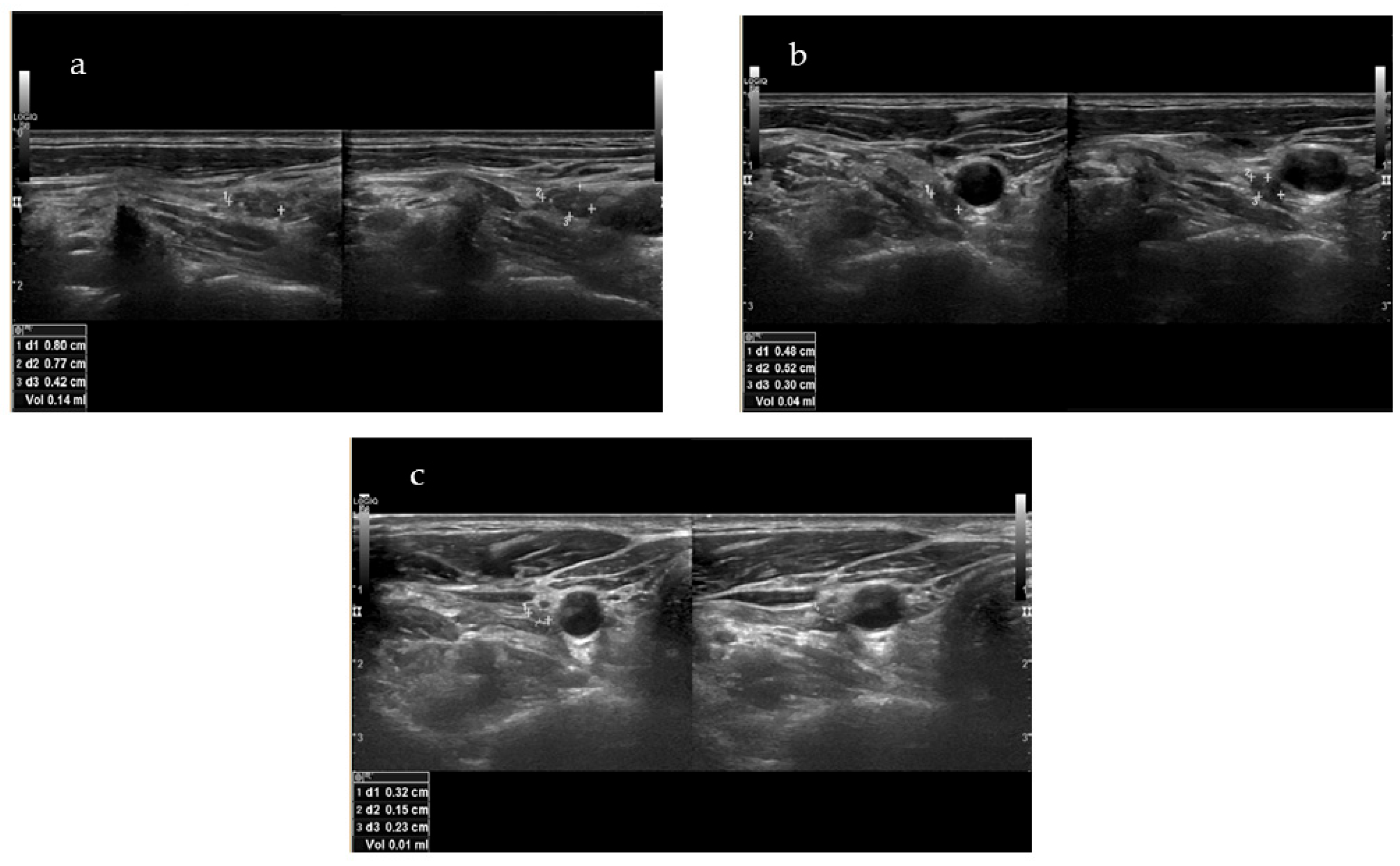 Biomedicines 13 00255 g002