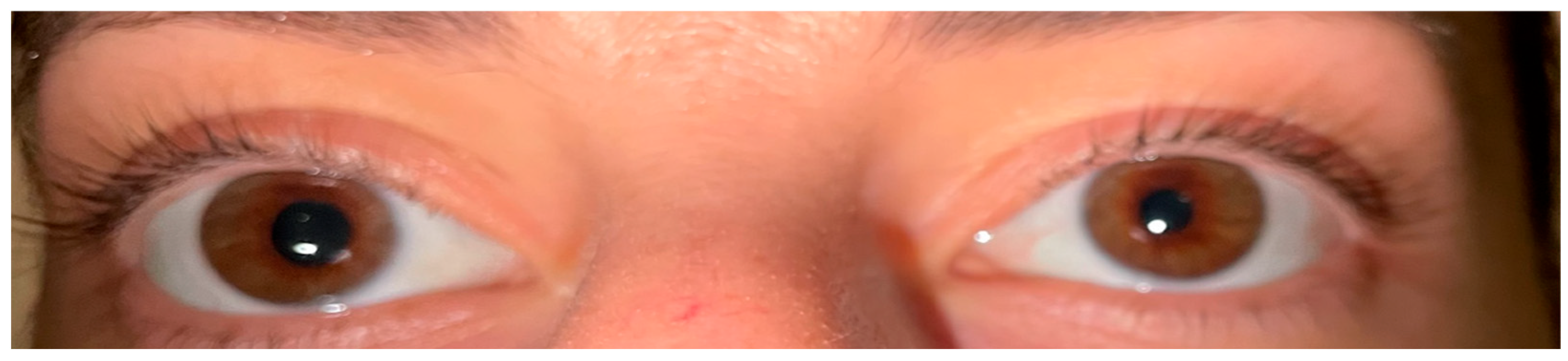 Biomedicines 13 00255 g005