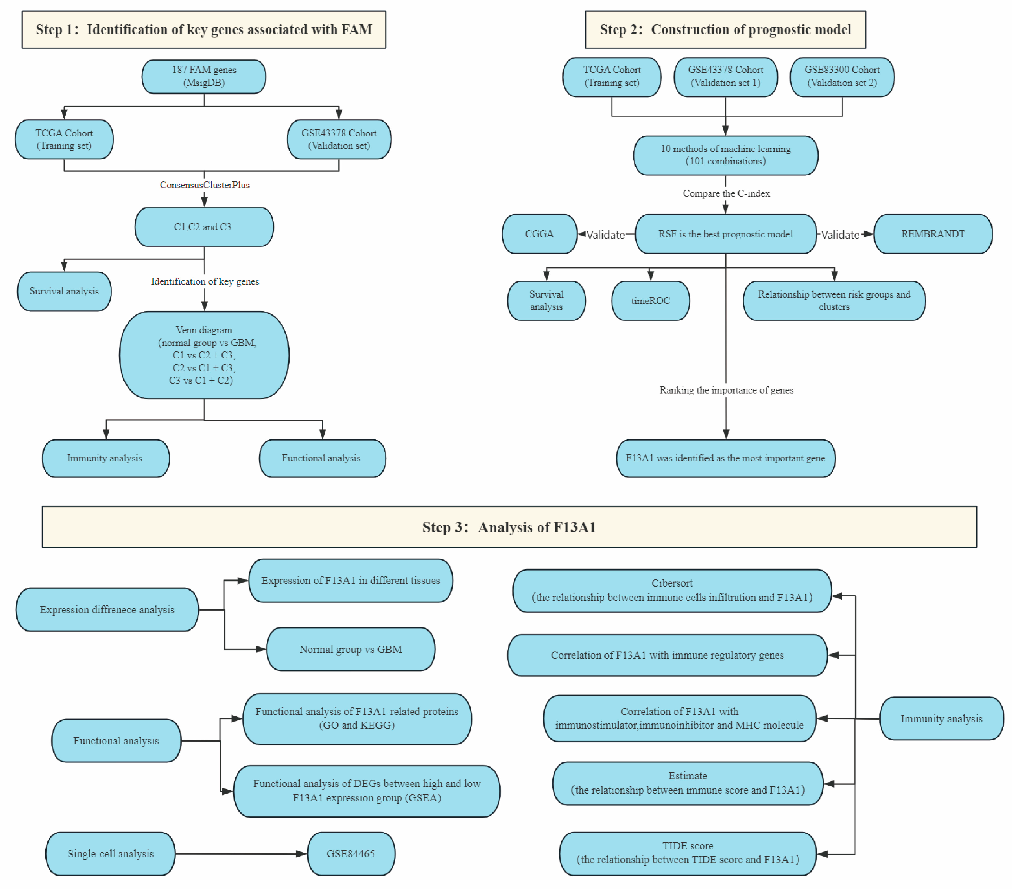 Biomedicines 13 00256 g001