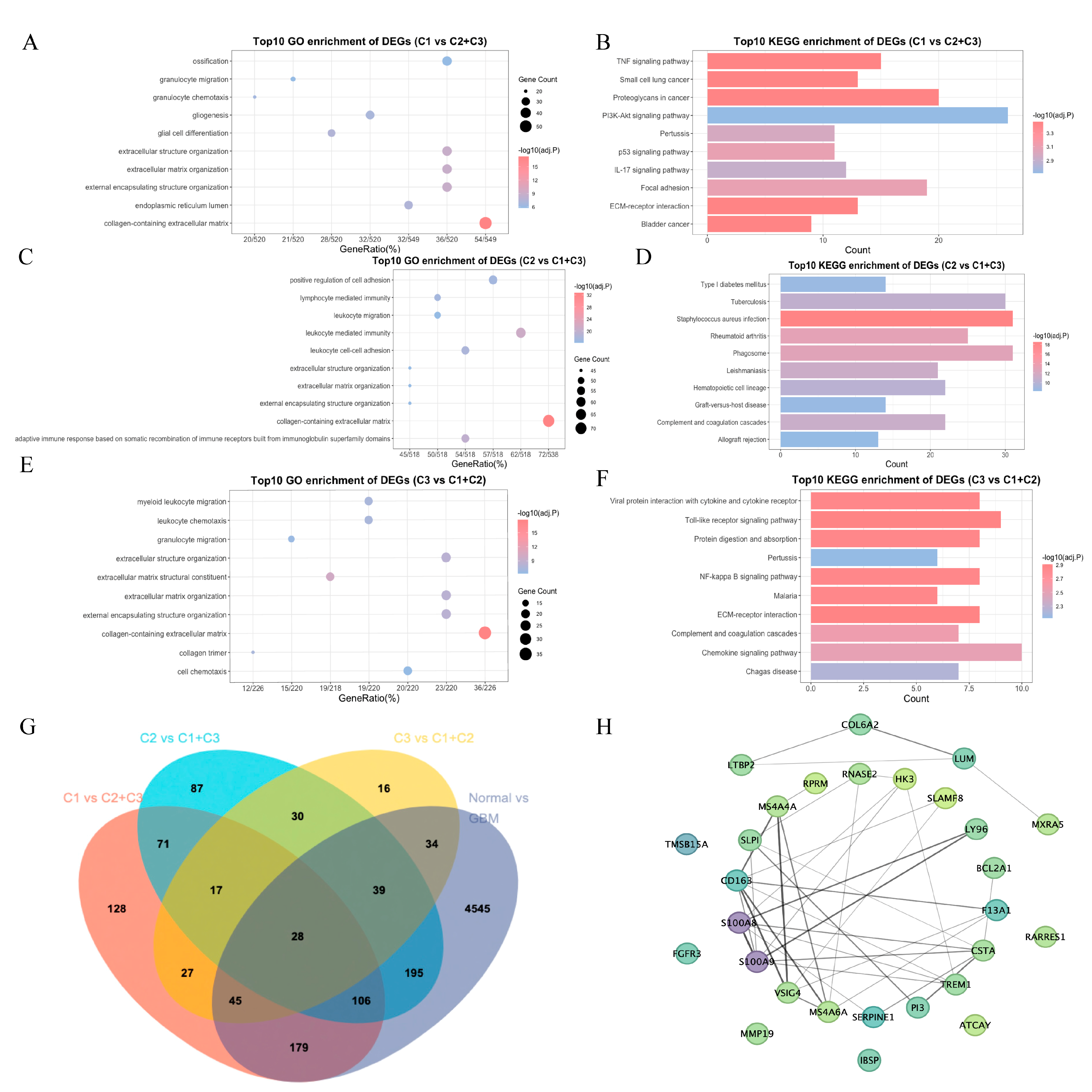 Biomedicines 13 00256 g003