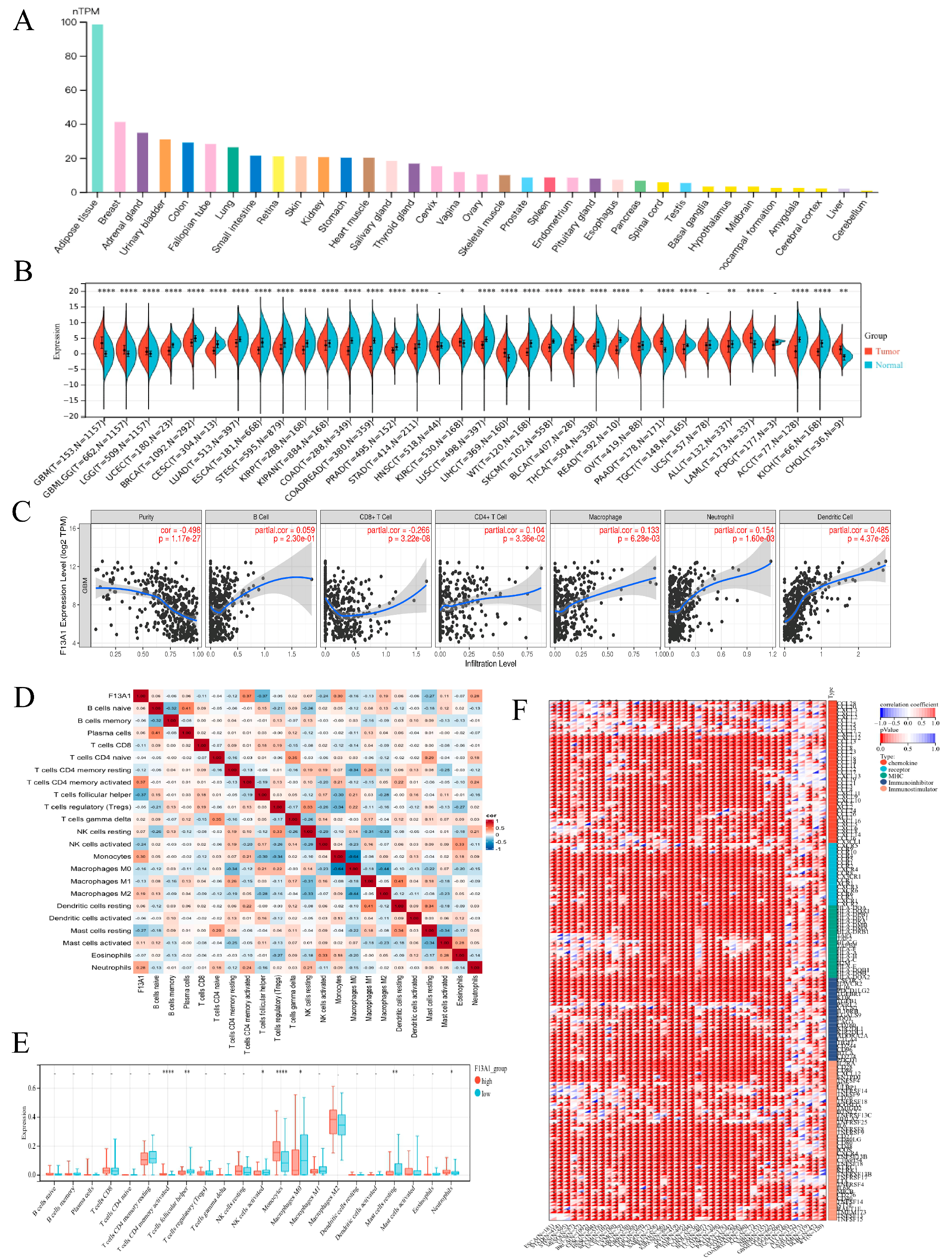 Biomedicines 13 00256 g005