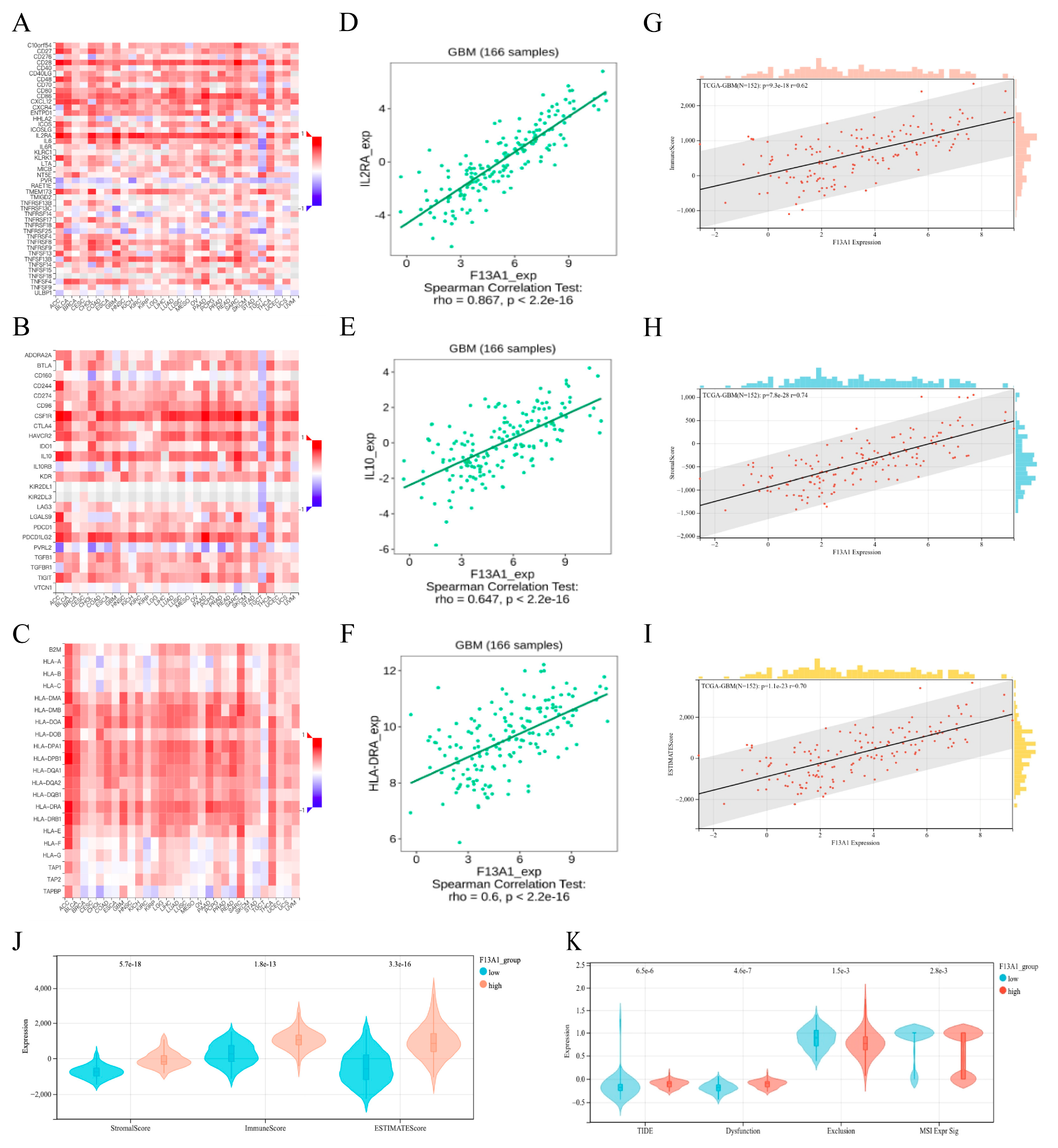 Biomedicines 13 00256 g006