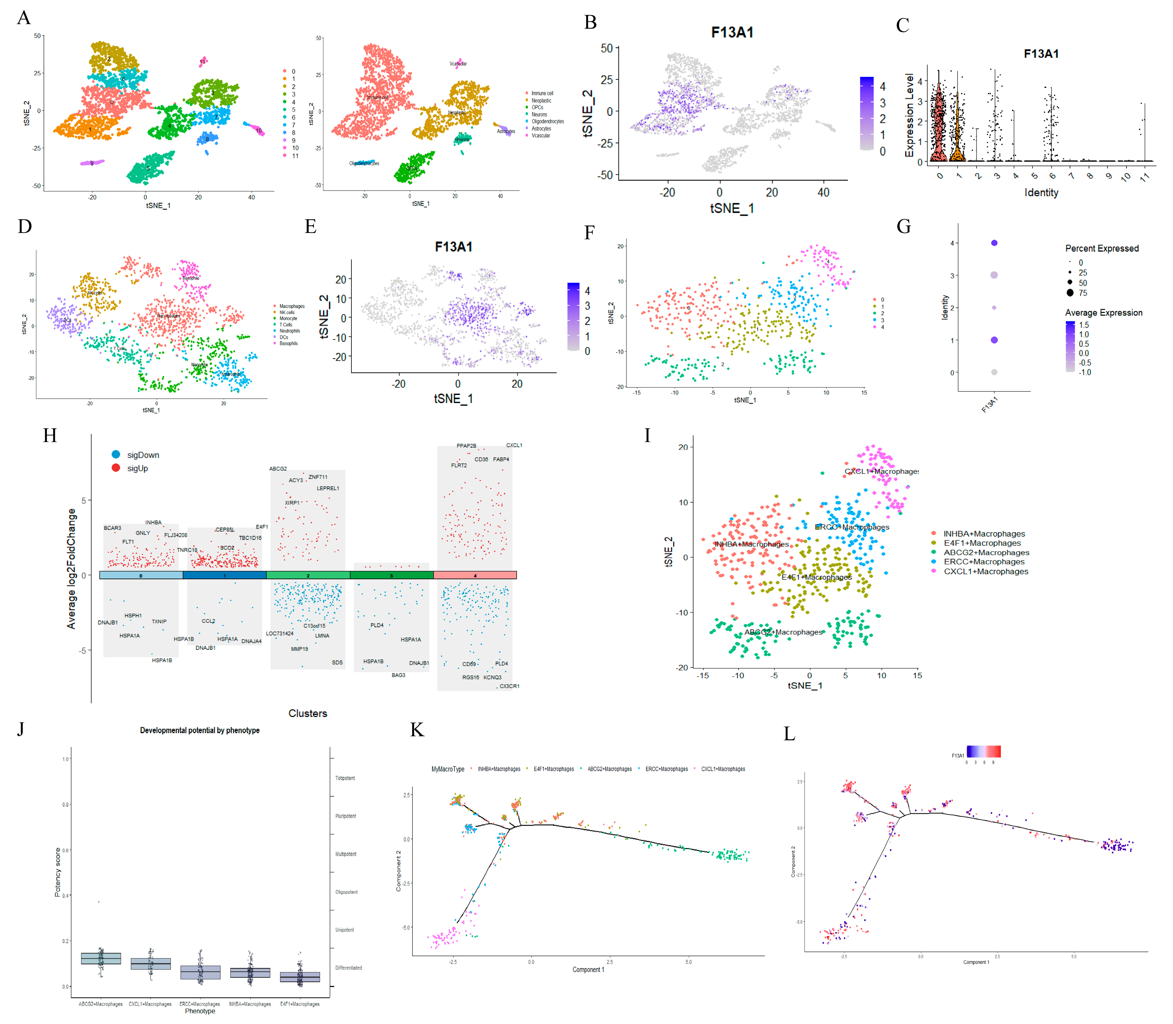 Biomedicines 13 00256 g008