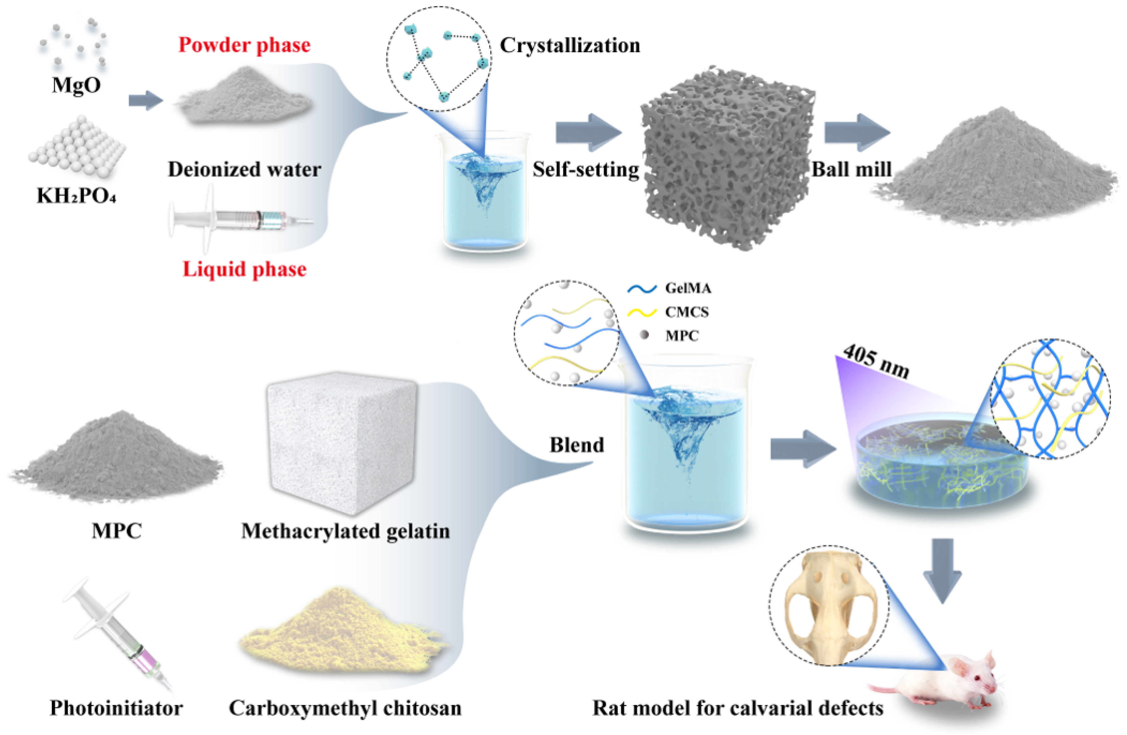 Biomedicines 13 00257 g001