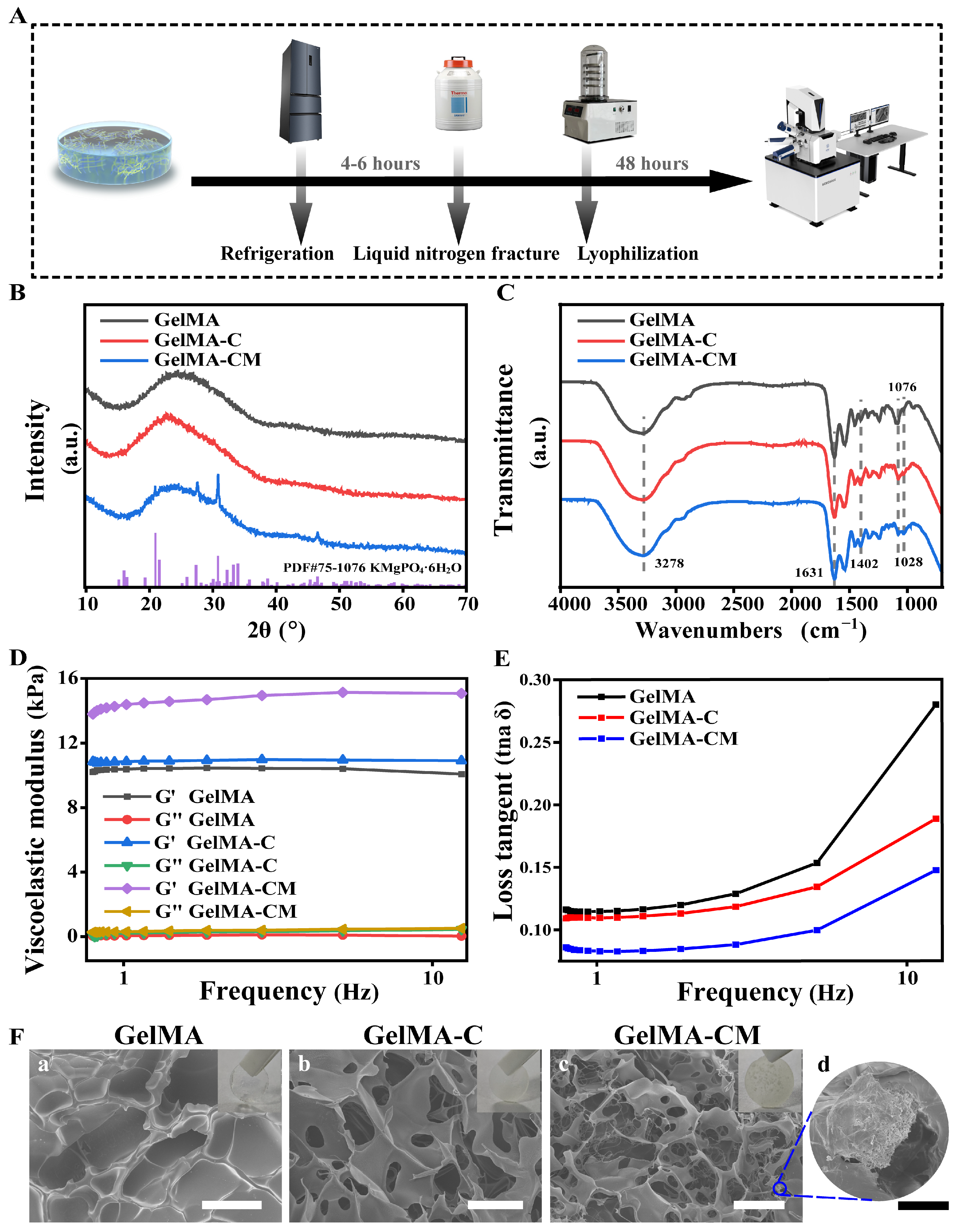 Biomedicines 13 00257 g002