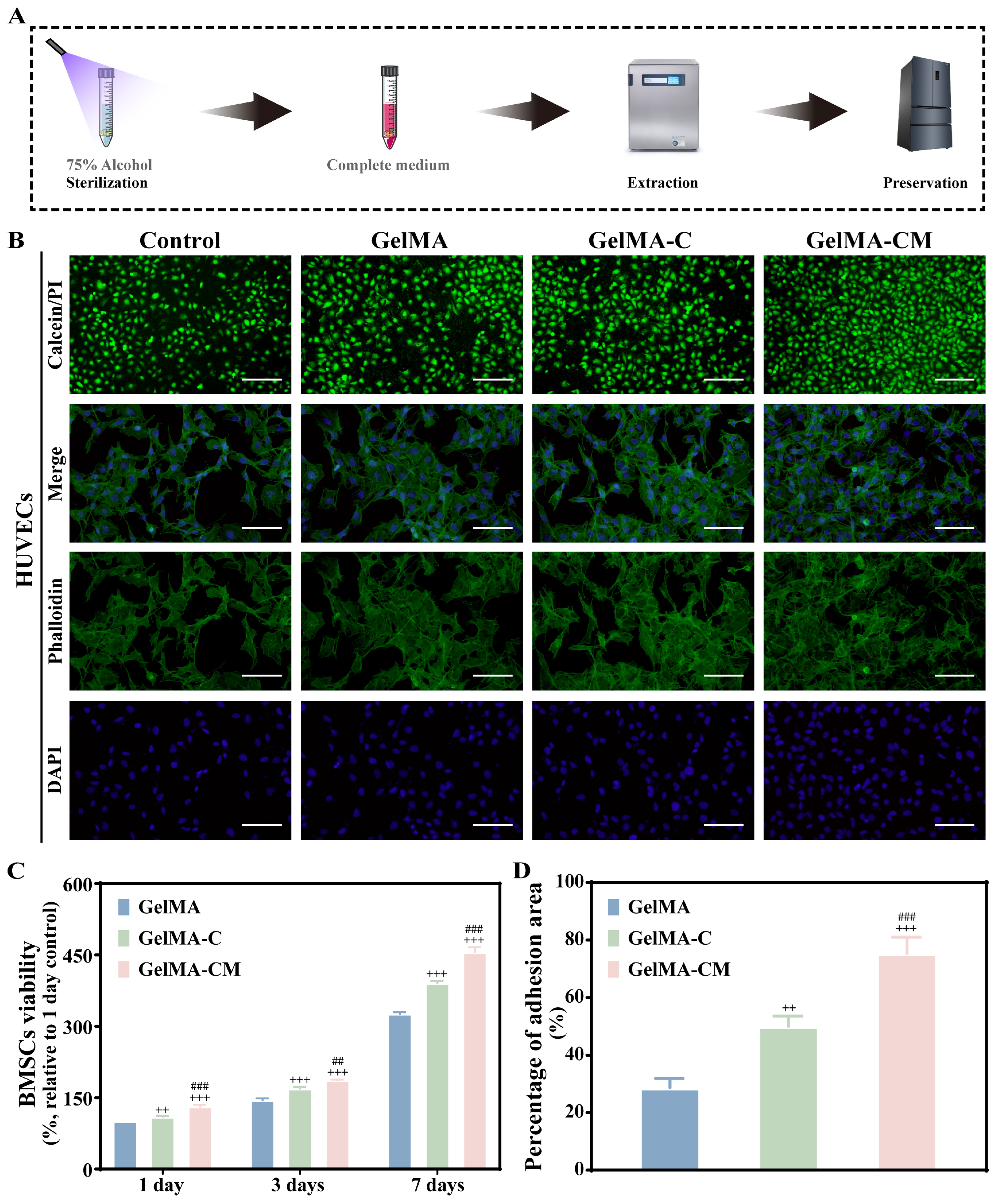 Biomedicines 13 00257 g003
