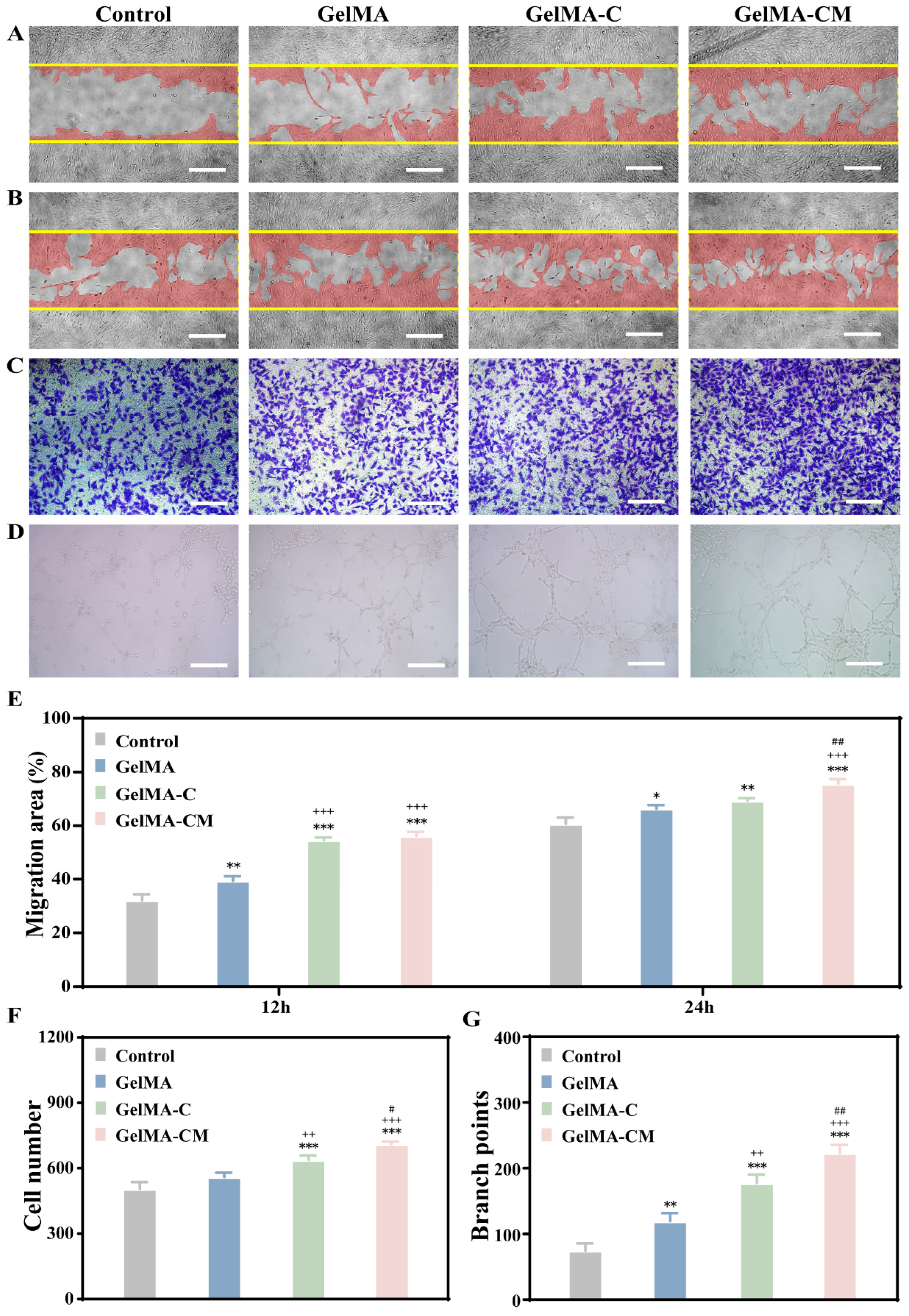 Biomedicines 13 00257 g005