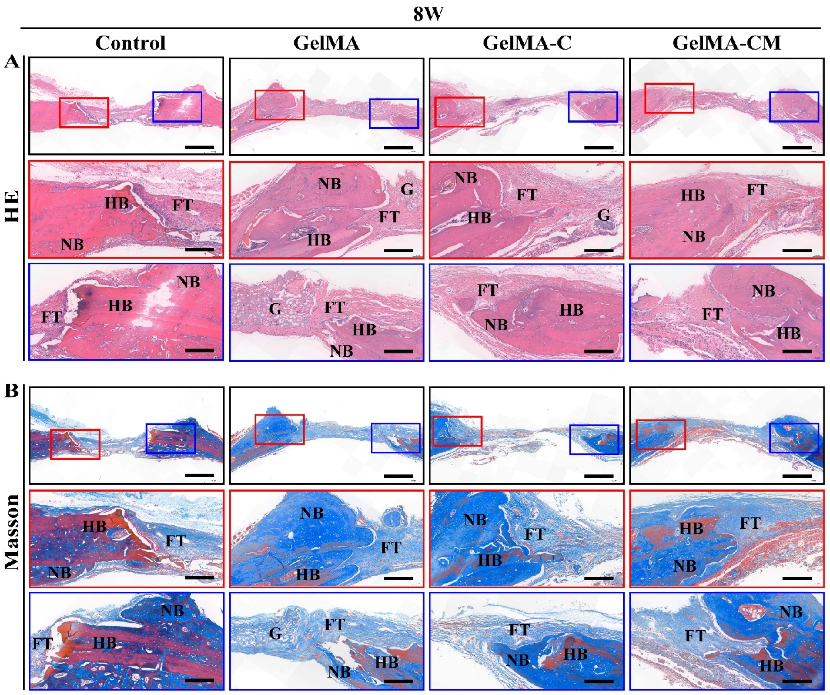 Biomedicines 13 00257 g007