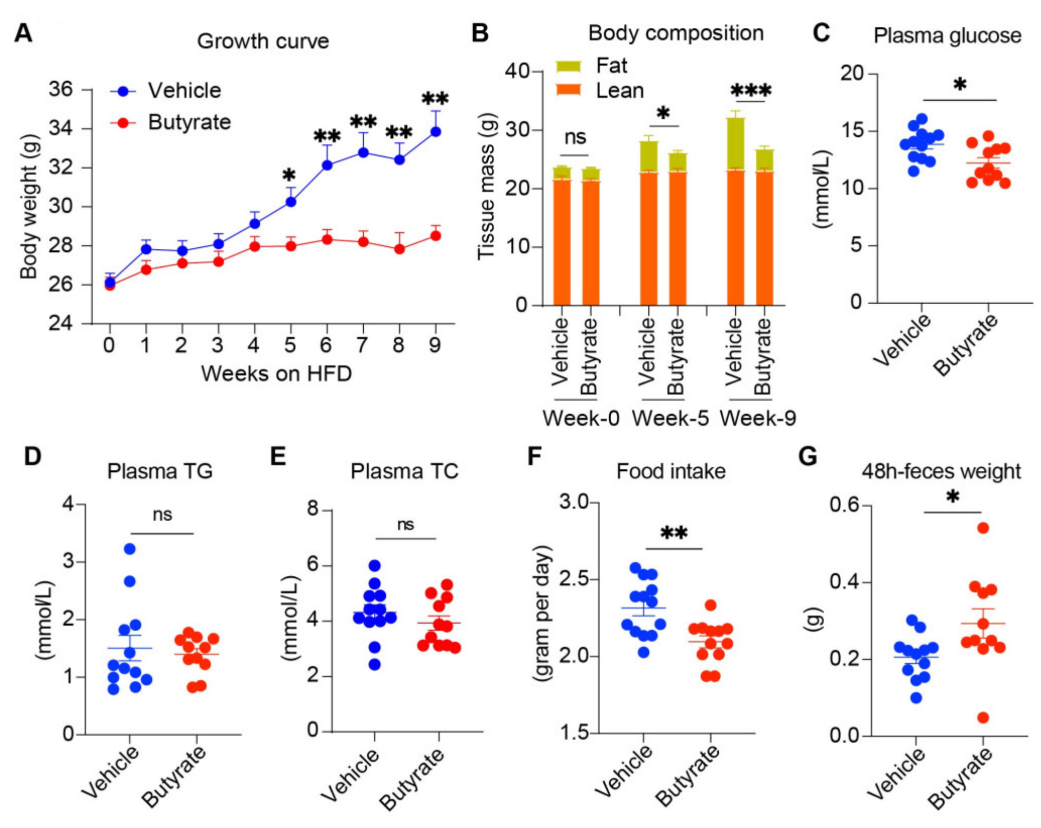 Biomedicines 13 00260 g001