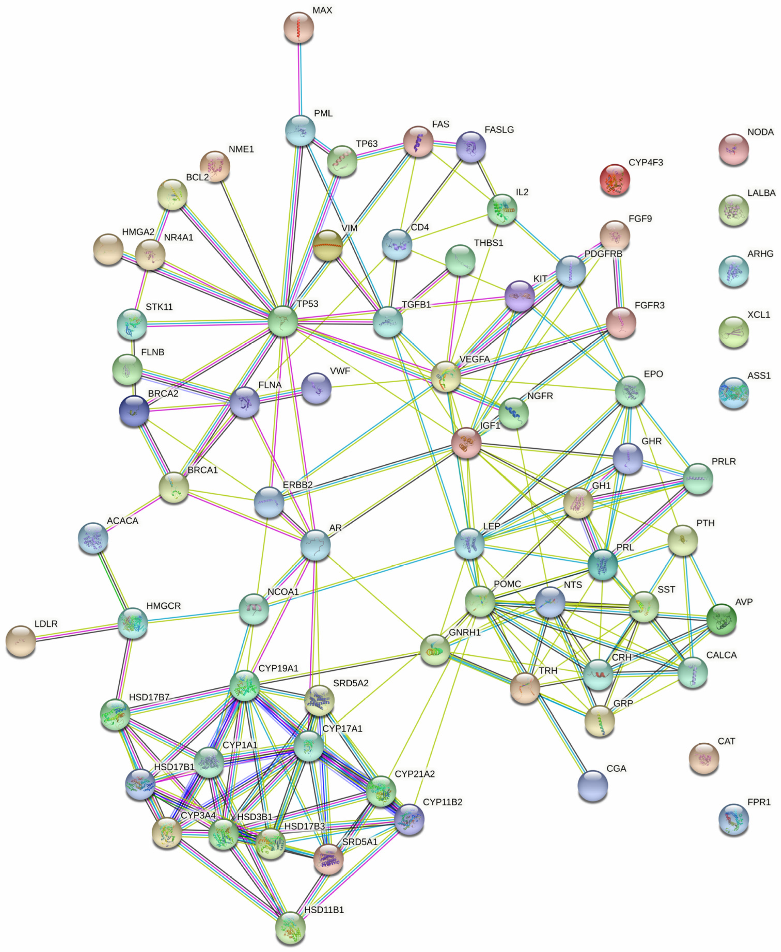 Biomedicines 13 00262 g002