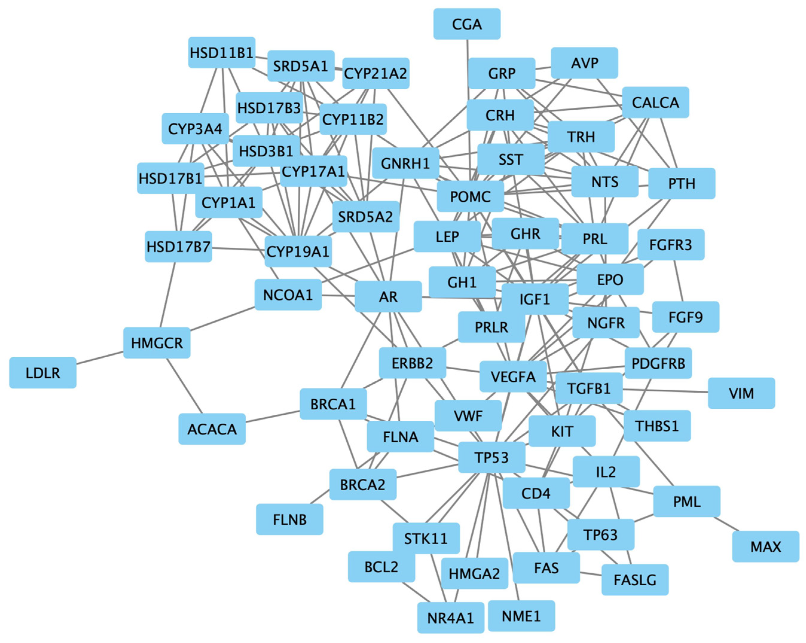Biomedicines 13 00262 g003
