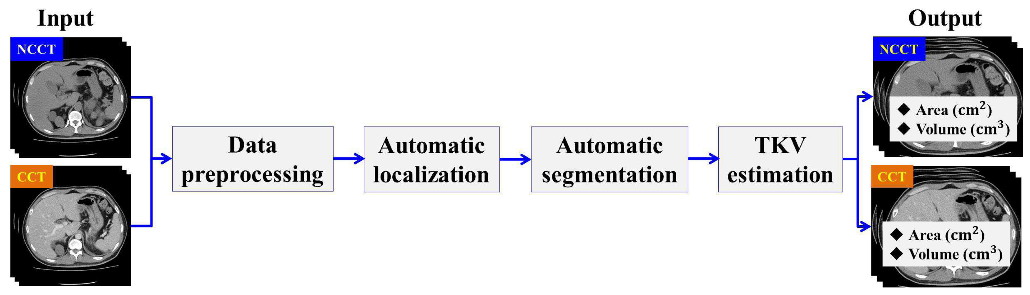 Biomedicines 13 00263 g002