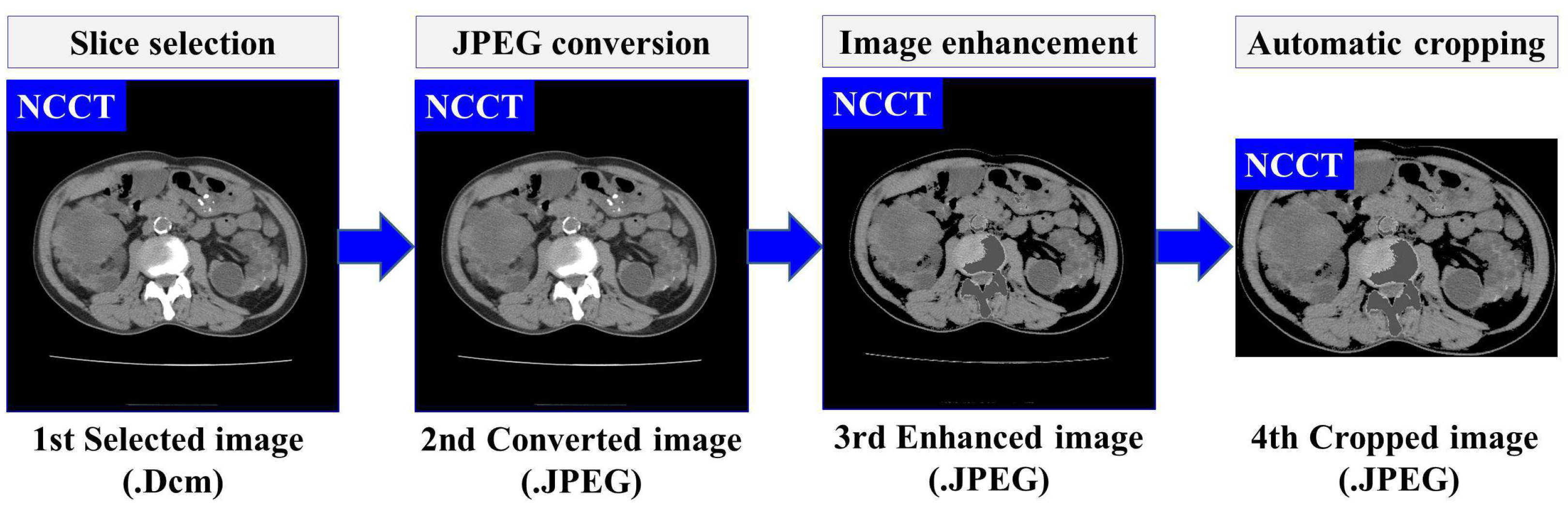 Biomedicines 13 00263 g003