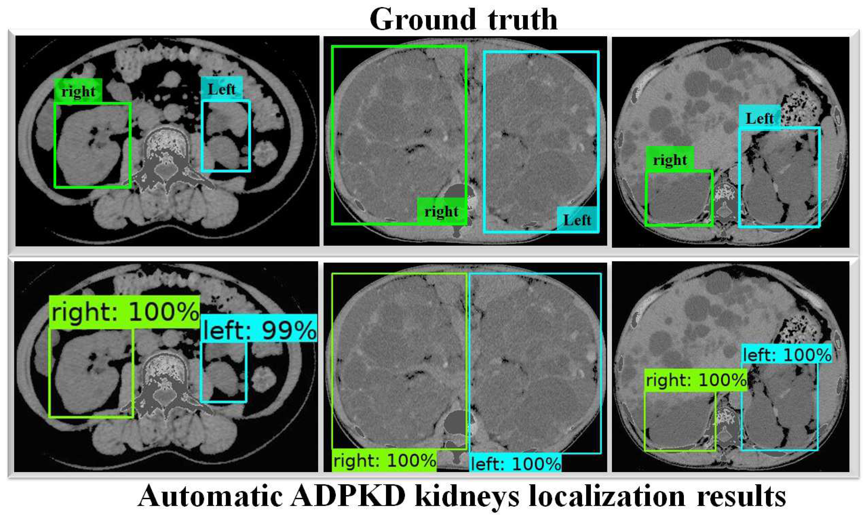 Biomedicines 13 00263 g007