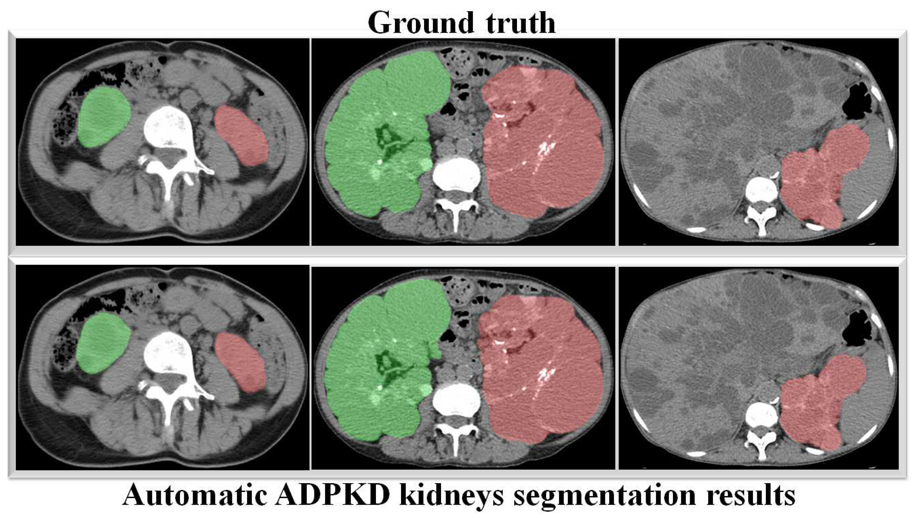 Biomedicines 13 00263 g011
