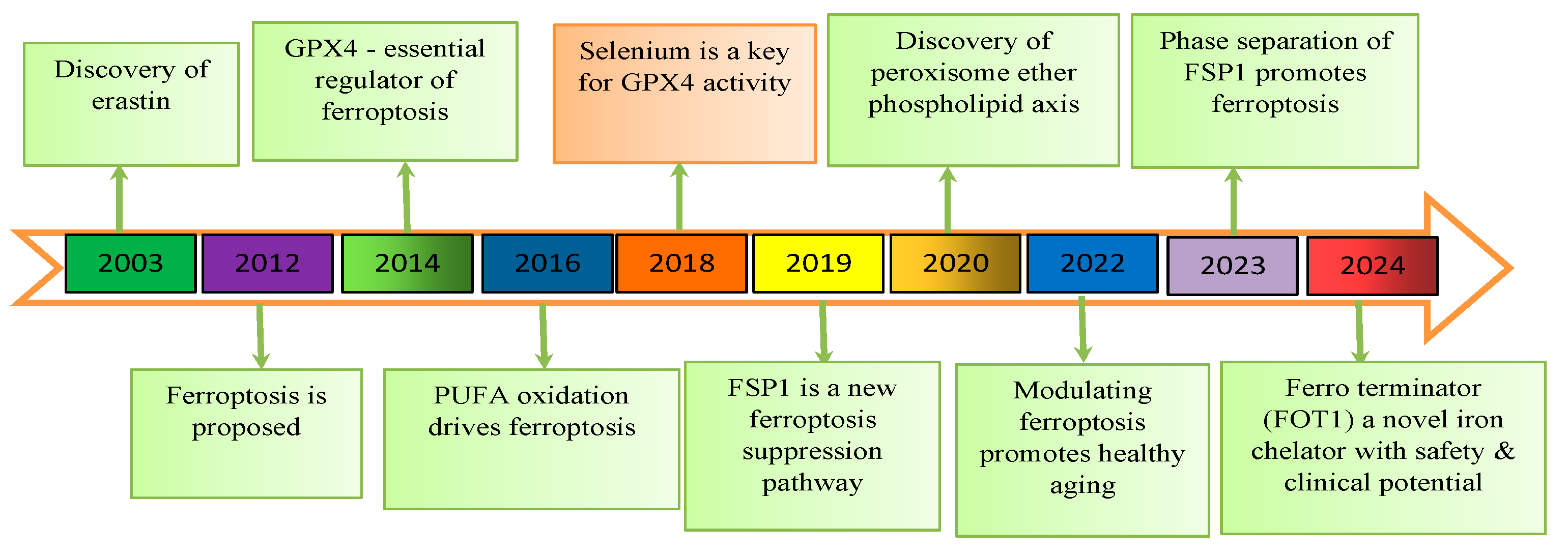 Biomedicines 13 00265 g002