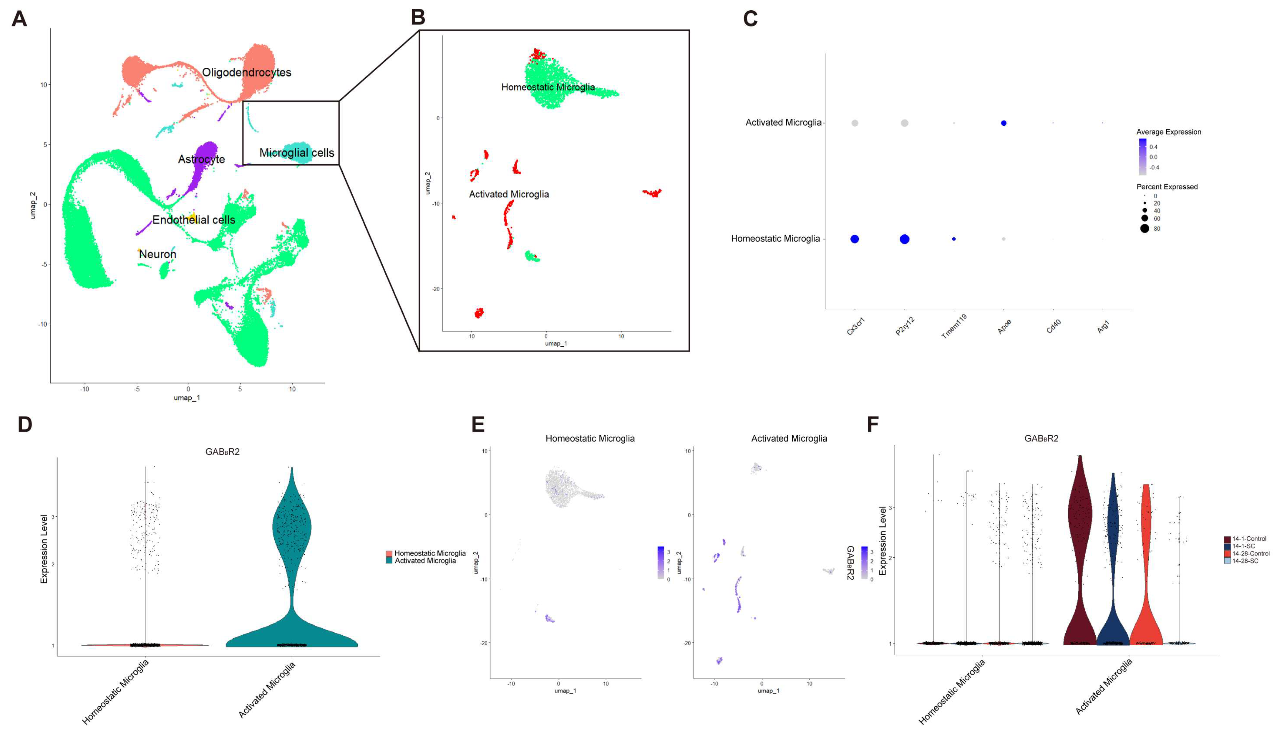 Biomedicines 13 00269 g002