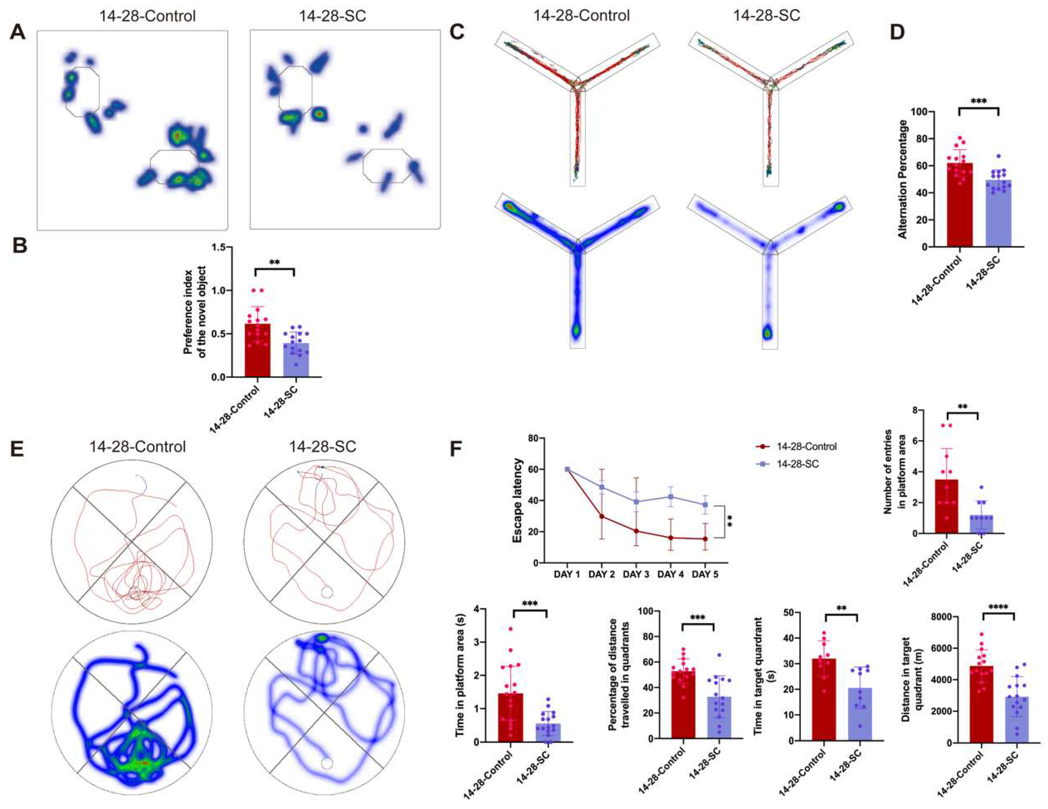 Biomedicines 13 00269 g004