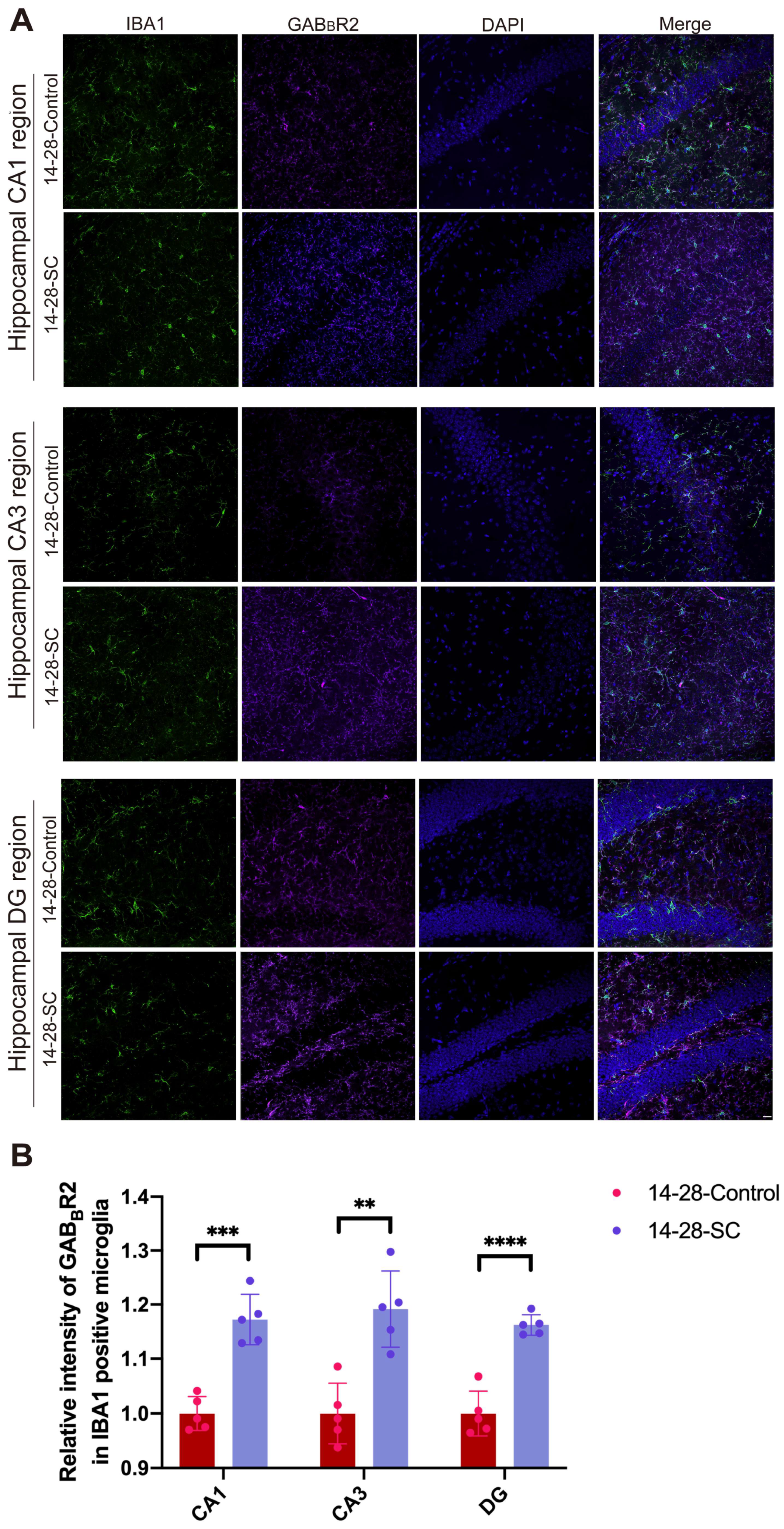 Biomedicines 13 00269 g006