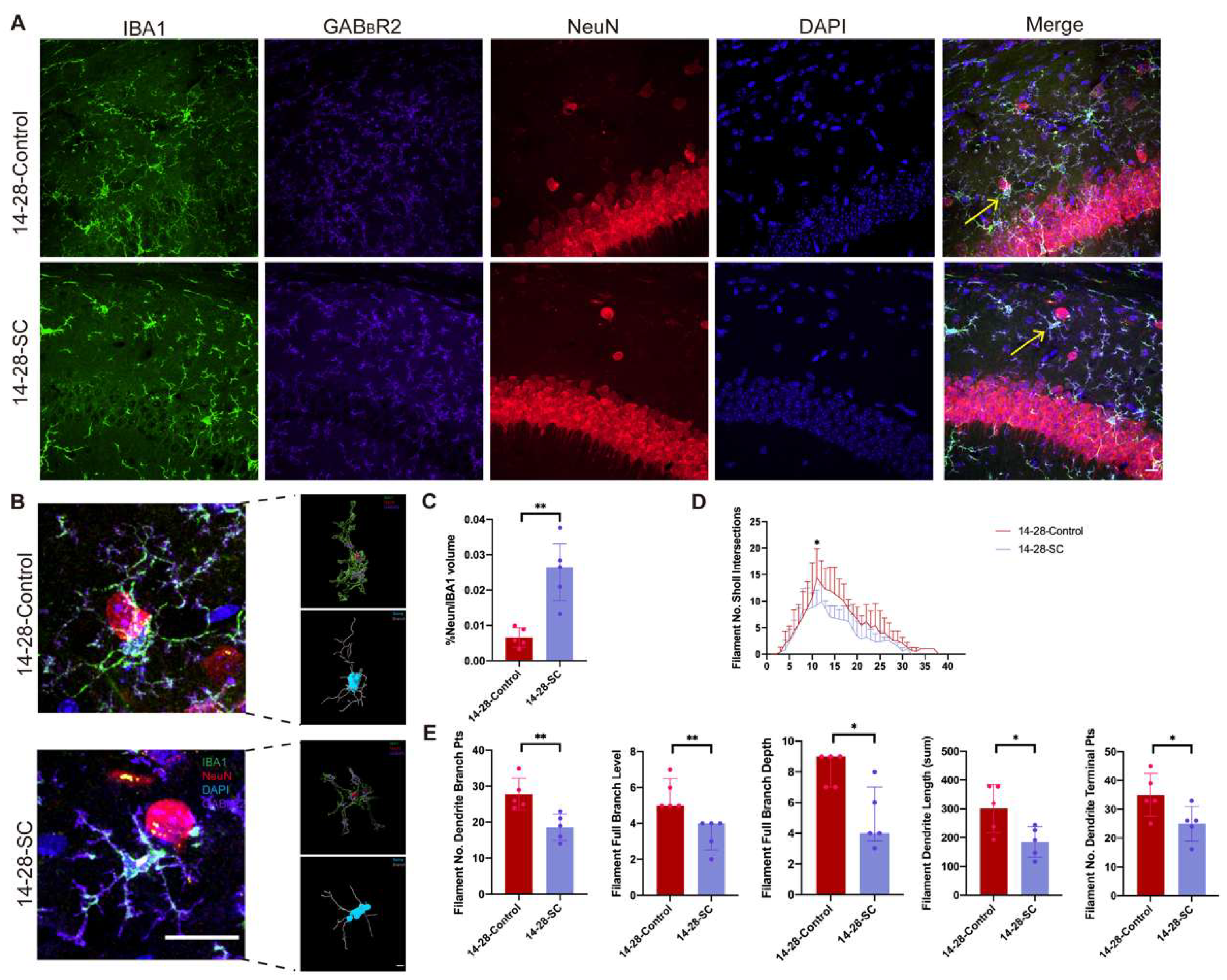 Biomedicines 13 00269 g007