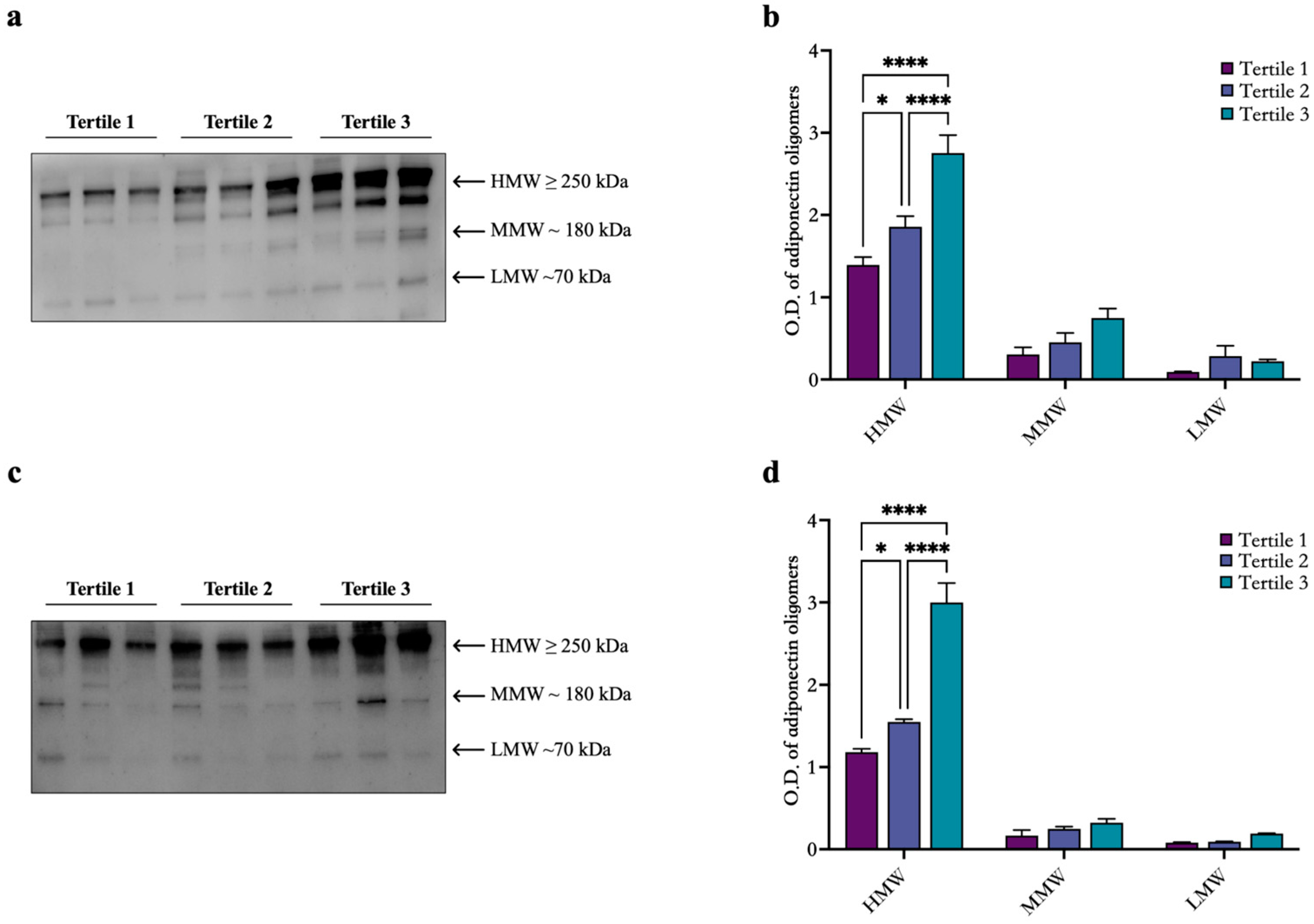 Biomedicines 13 00273 g001