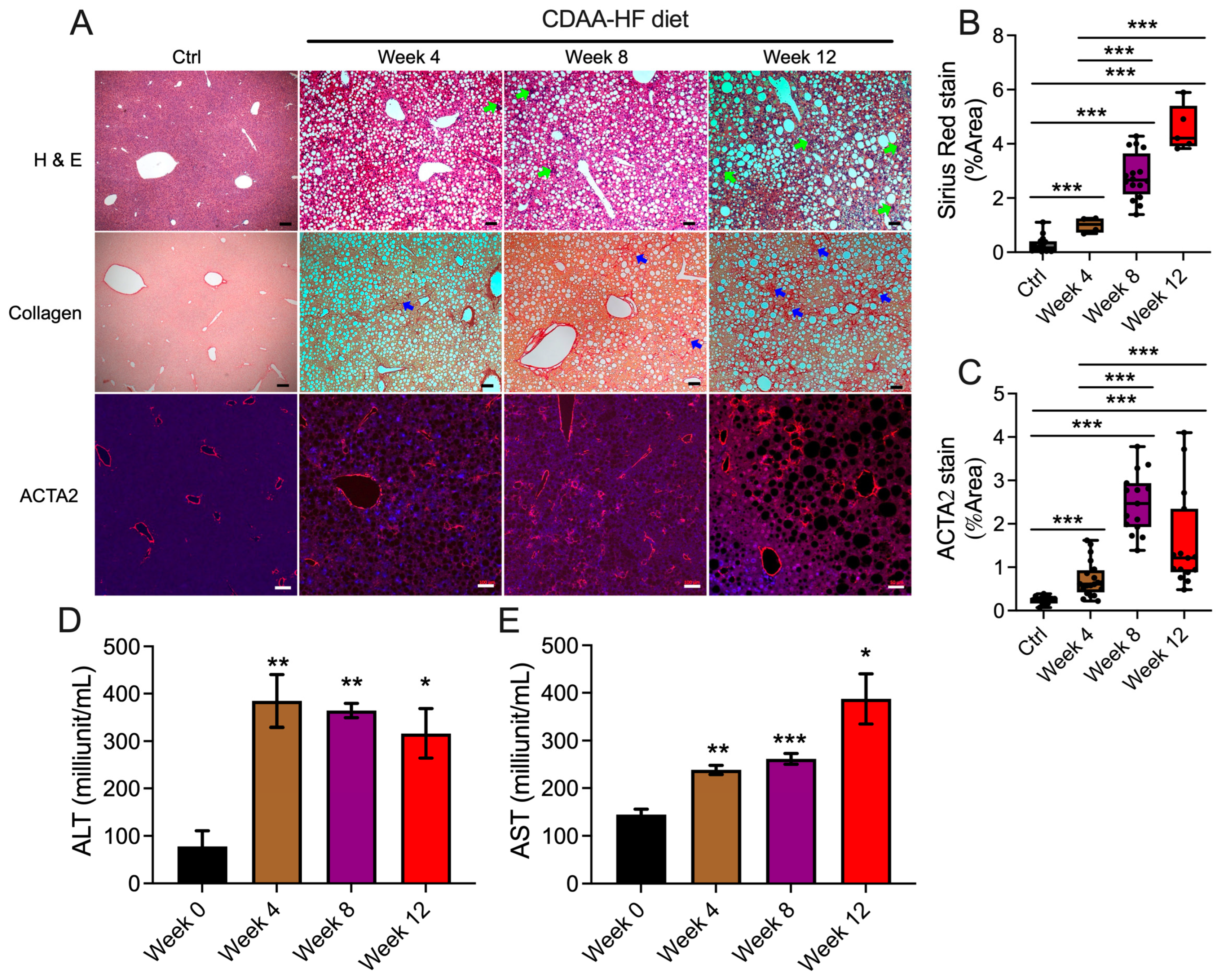 Biomedicines 13 00274 g001