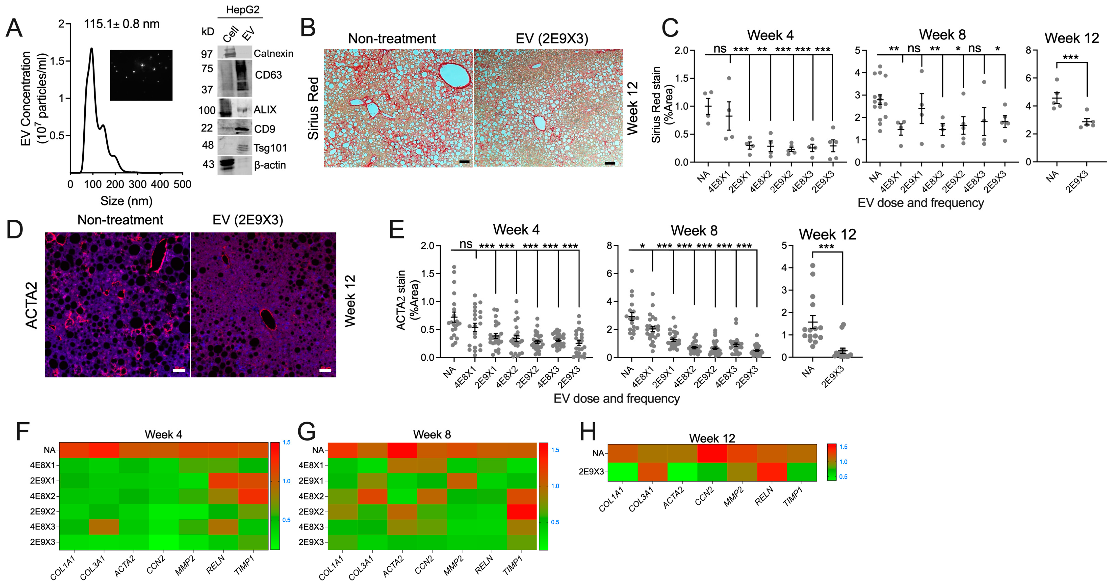 Biomedicines 13 00274 g002