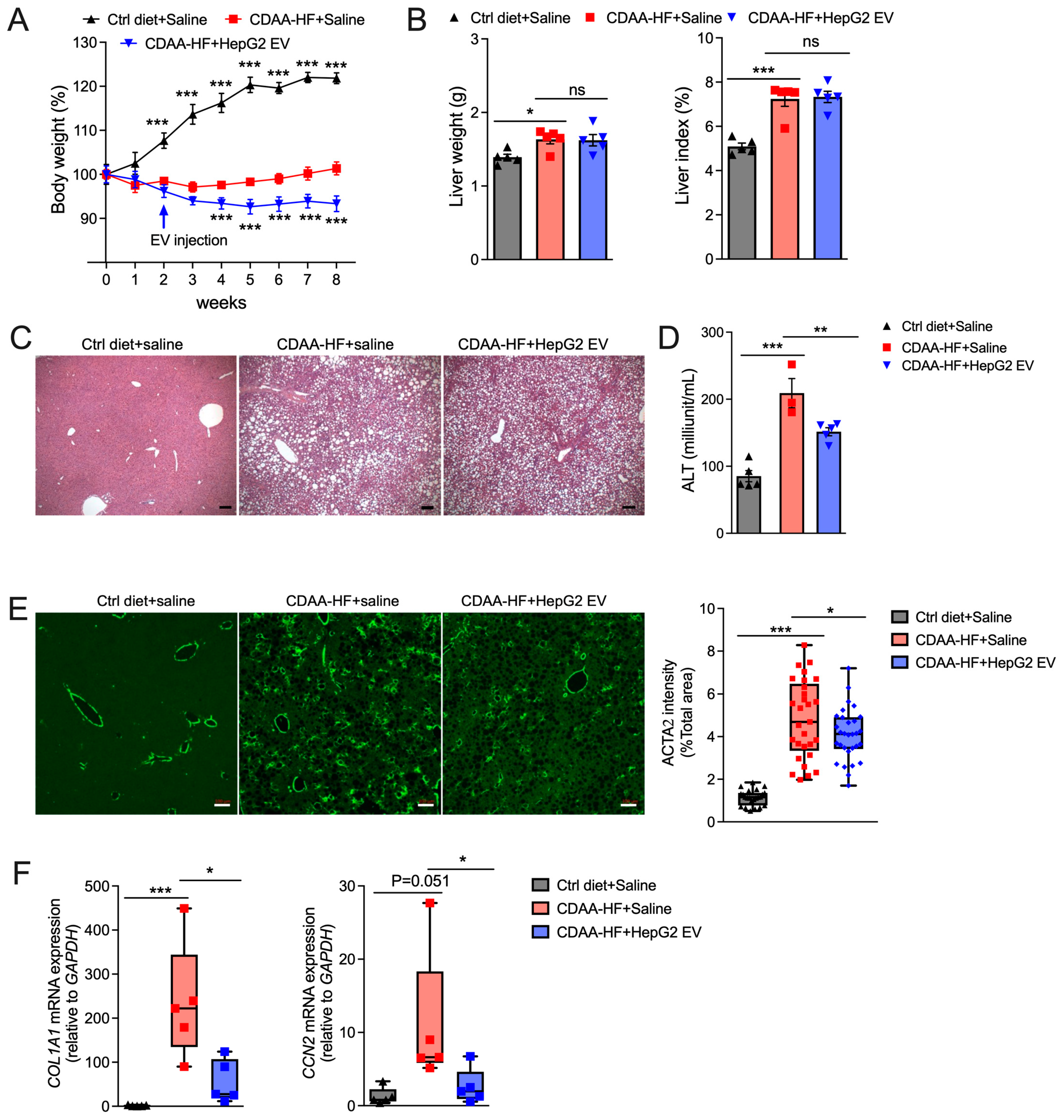 Biomedicines 13 00274 g005