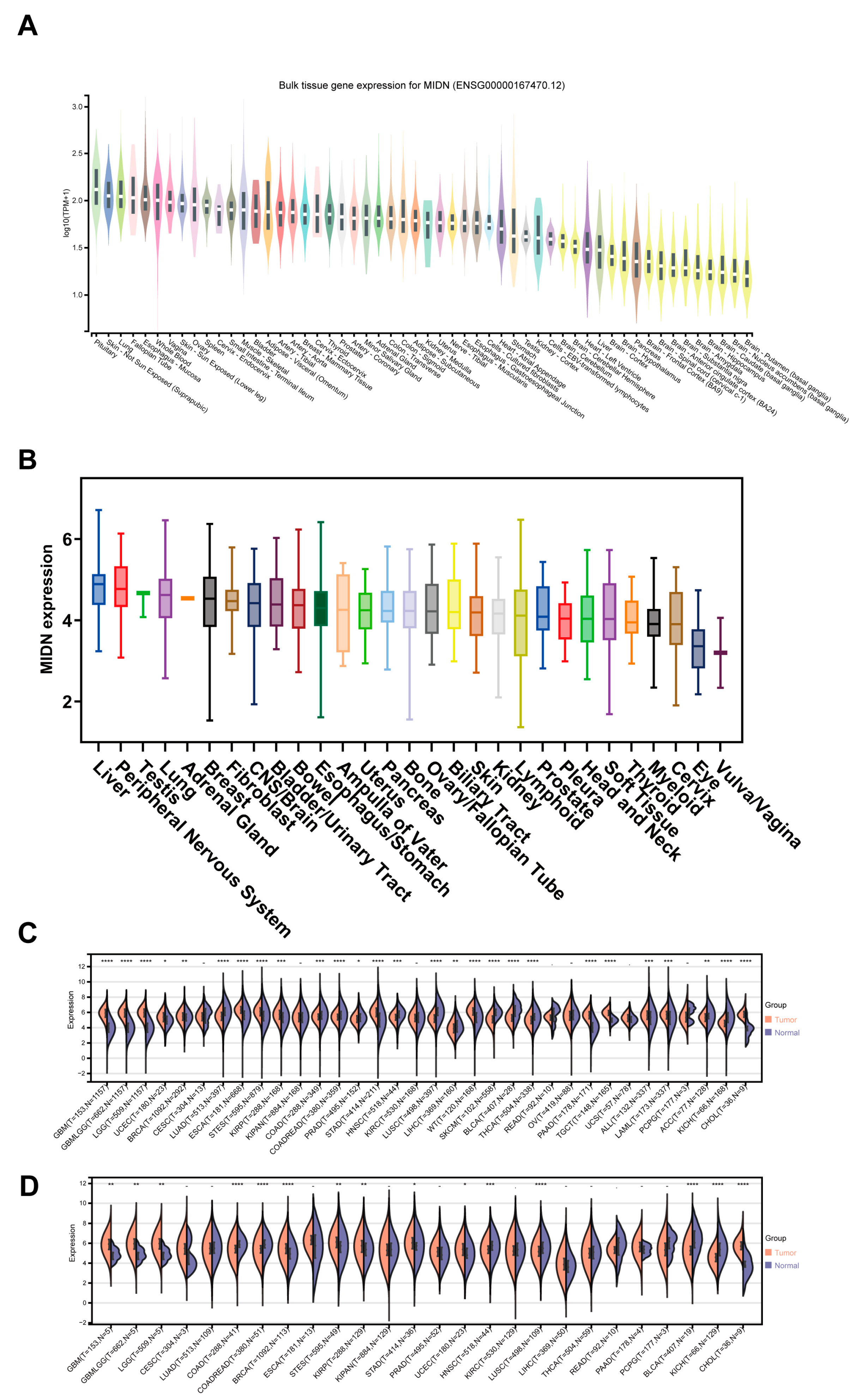 Biomedicines 13 00276 g001