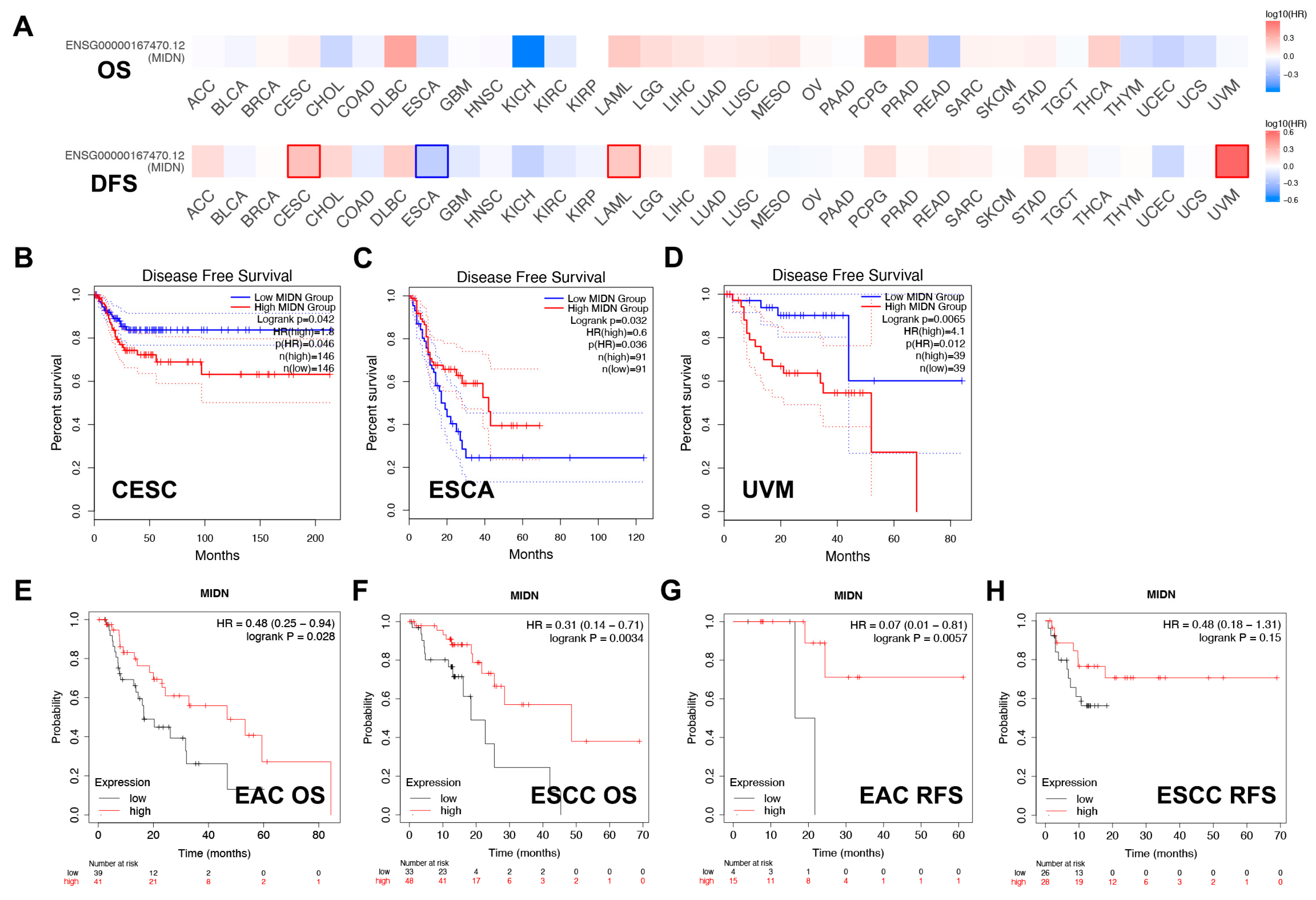 Biomedicines 13 00276 g003
