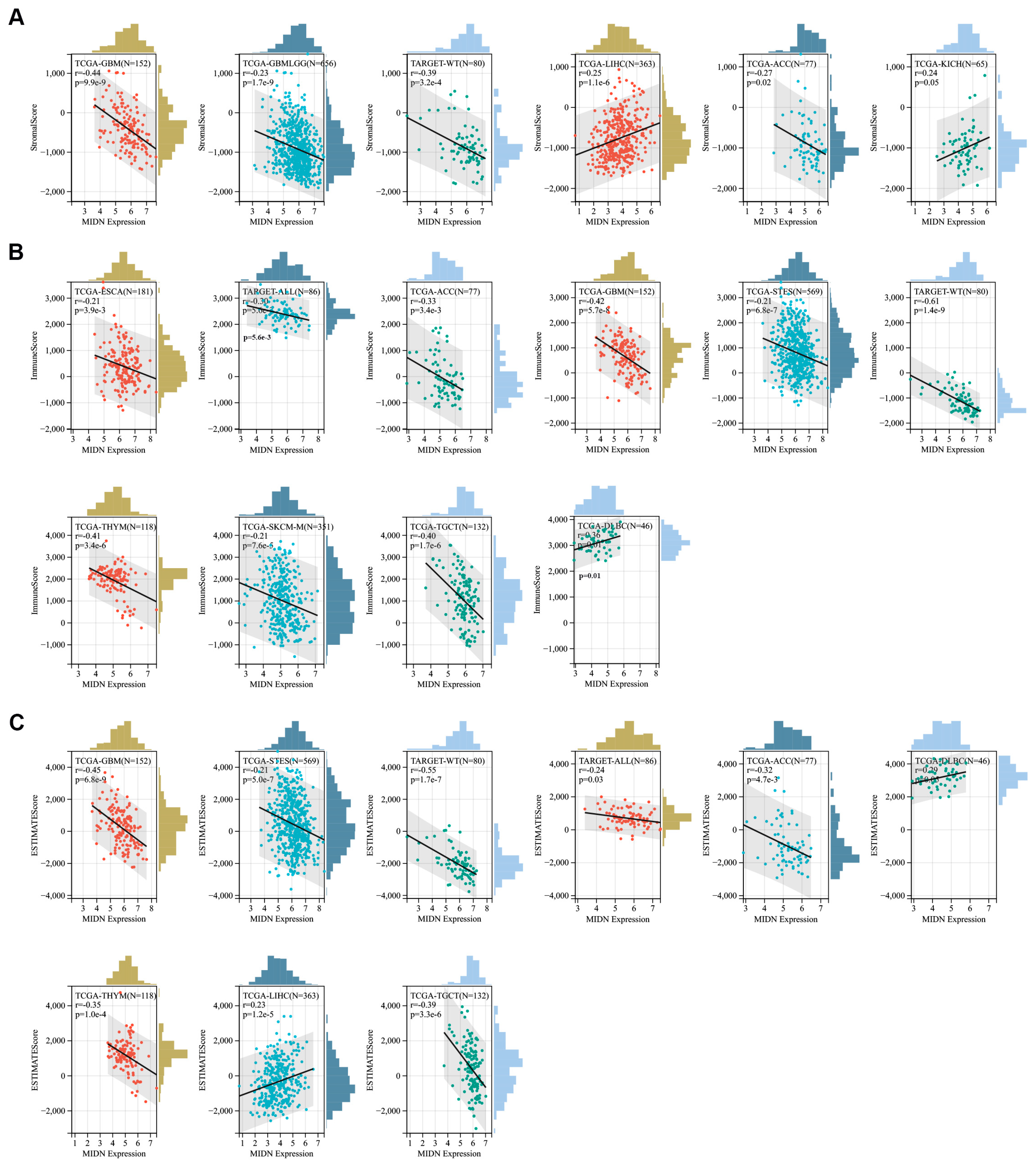 Biomedicines 13 00276 g008