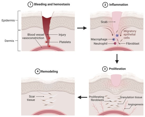 Biomedicines 13 00277 g001