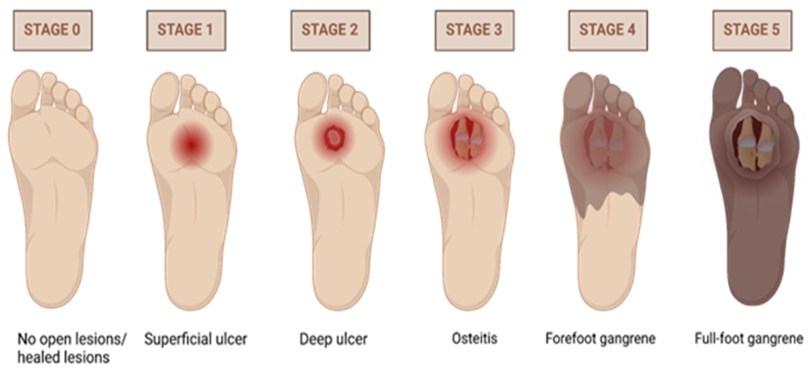 Biomedicines 13 00277 g004
